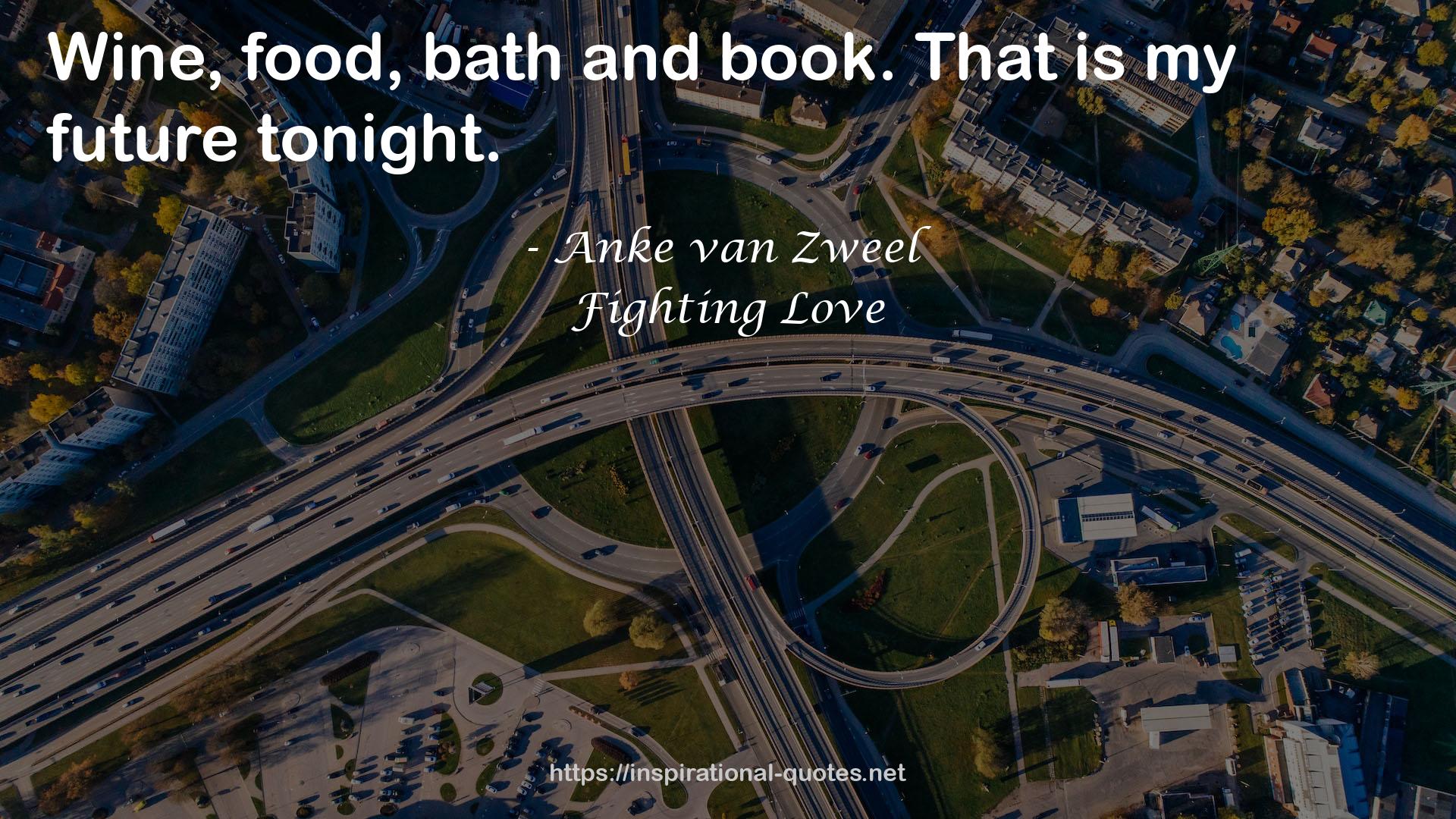 Fighting Love QUOTES