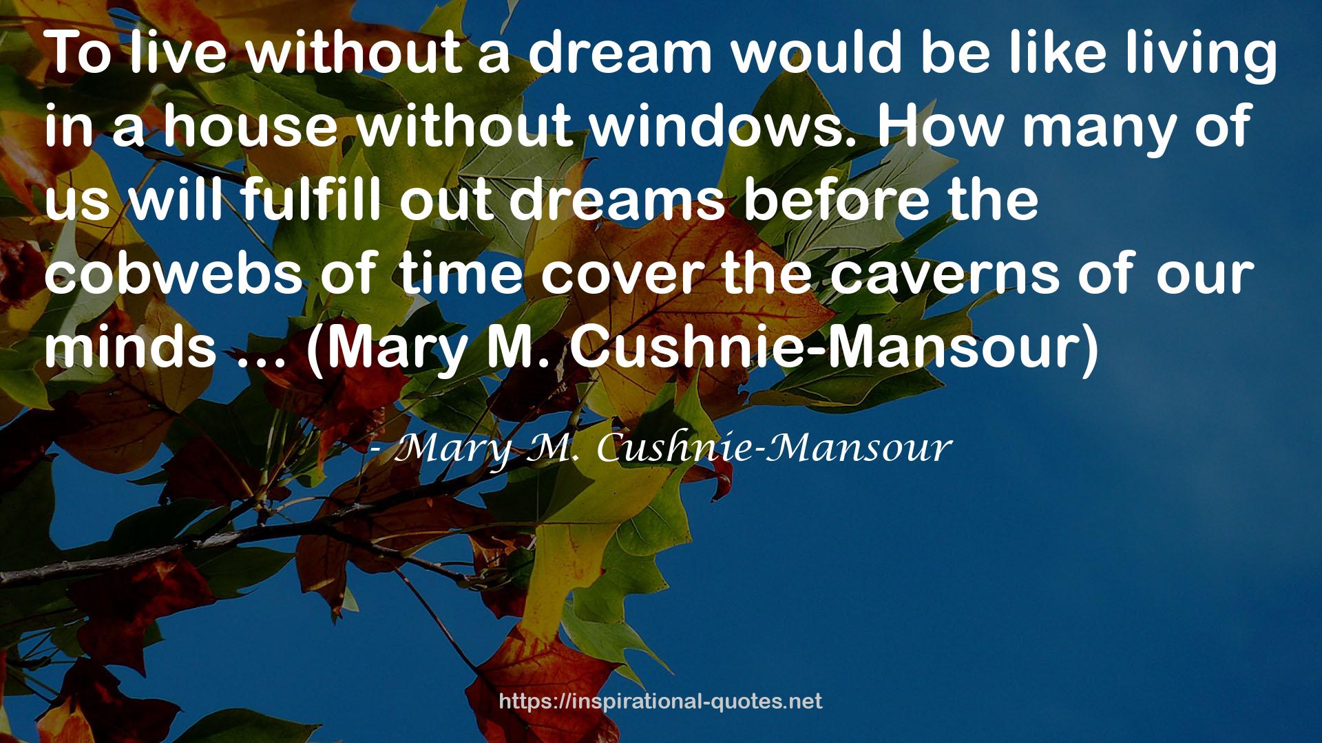 Mary M. Cushnie-Mansour QUOTES