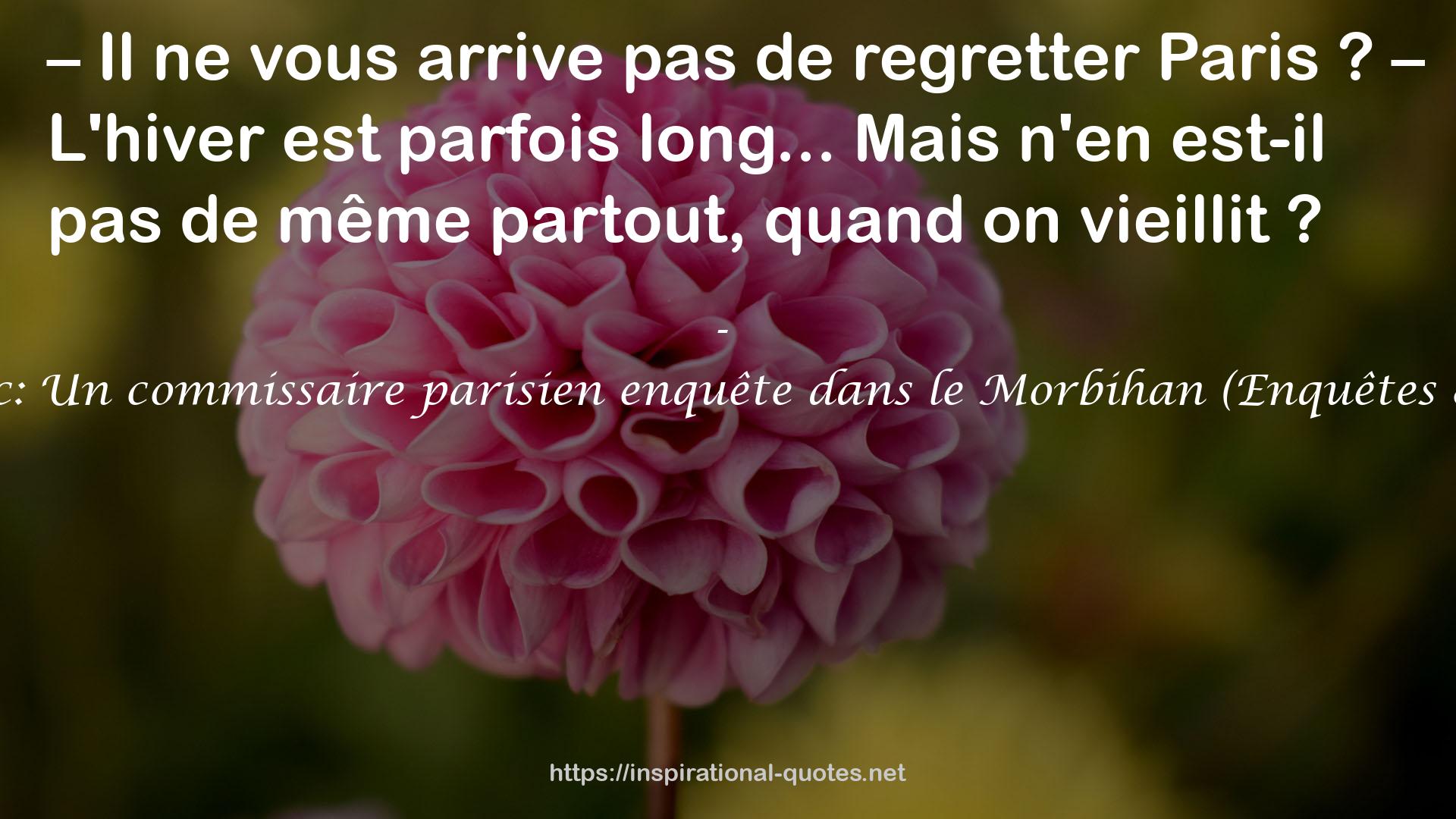 L'esprit d'Hoëdic: Un commissaire parisien enquête dans le Morbihan (Enquêtes & Suspense) QUOTES