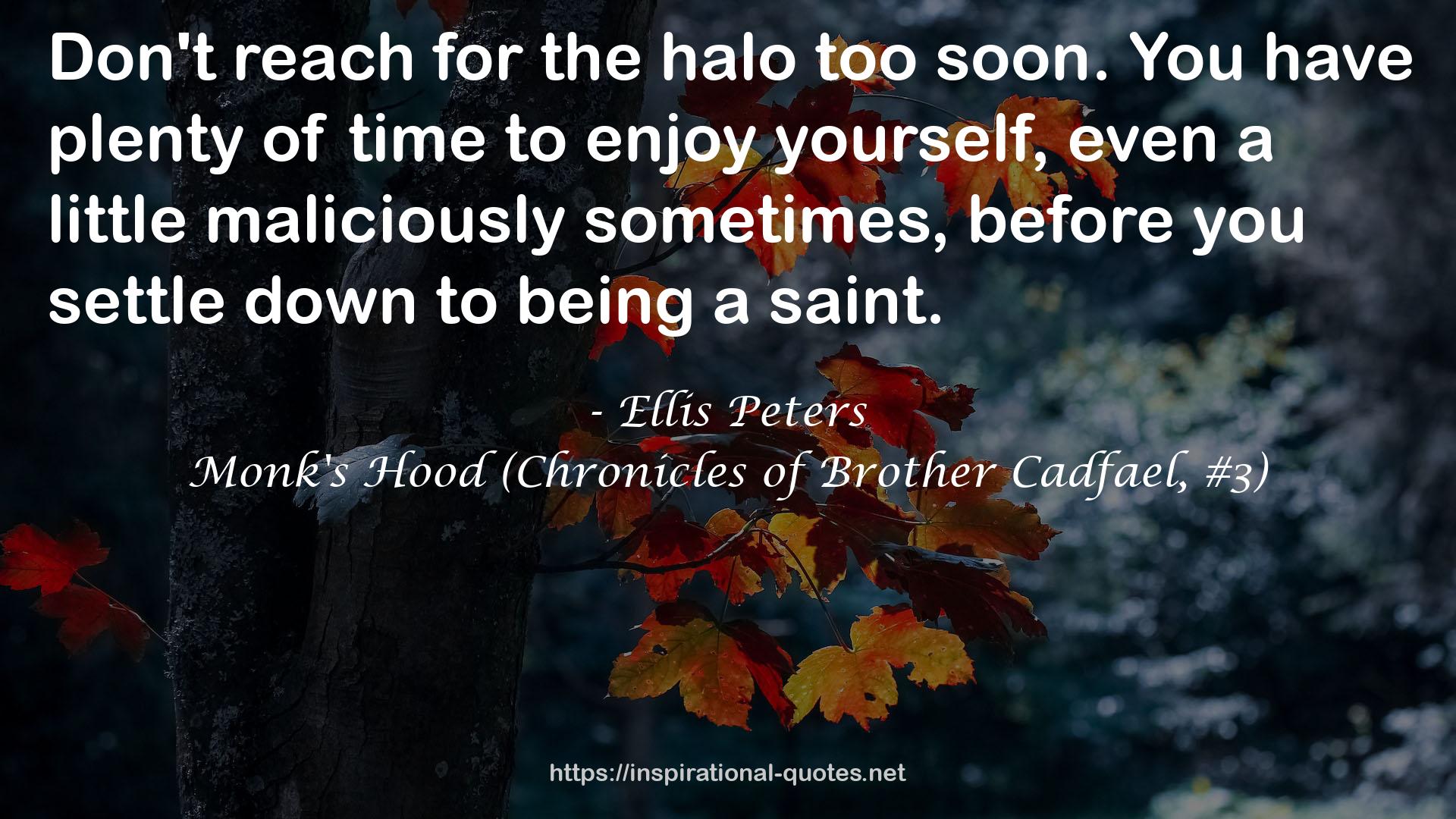 Monk's Hood (Chronicles of Brother Cadfael, #3) QUOTES