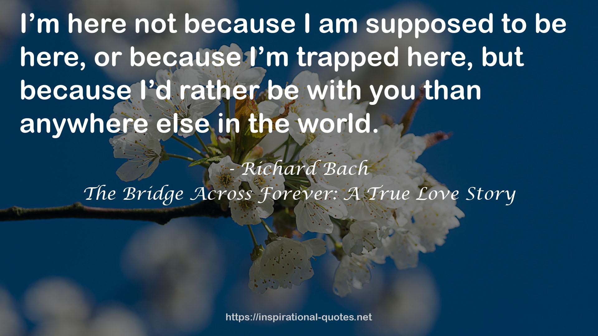Richard Bach QUOTES
