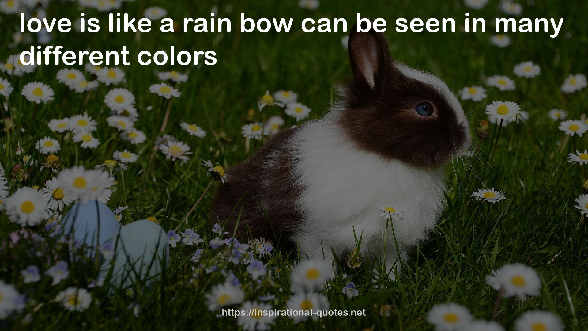 a rain bow  QUOTES