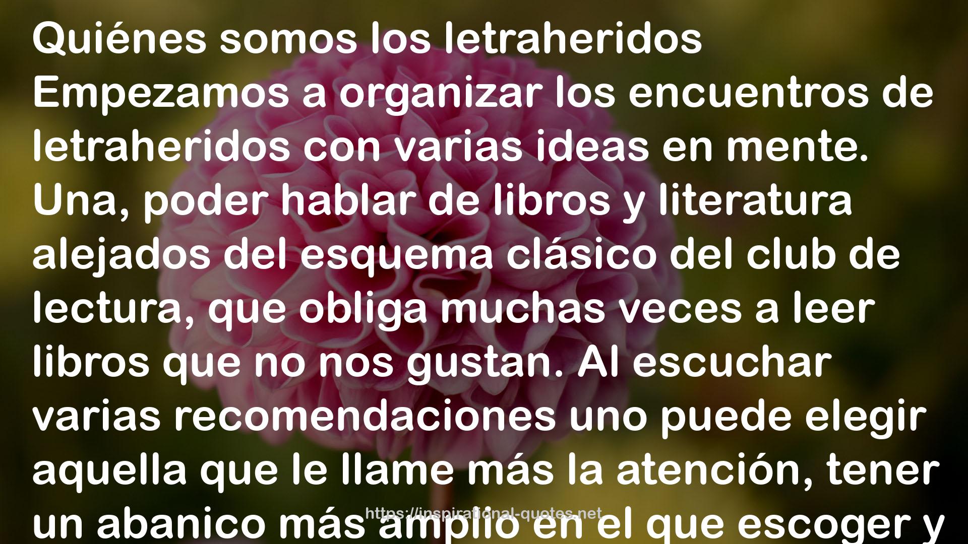 Antología letraherida QUOTES