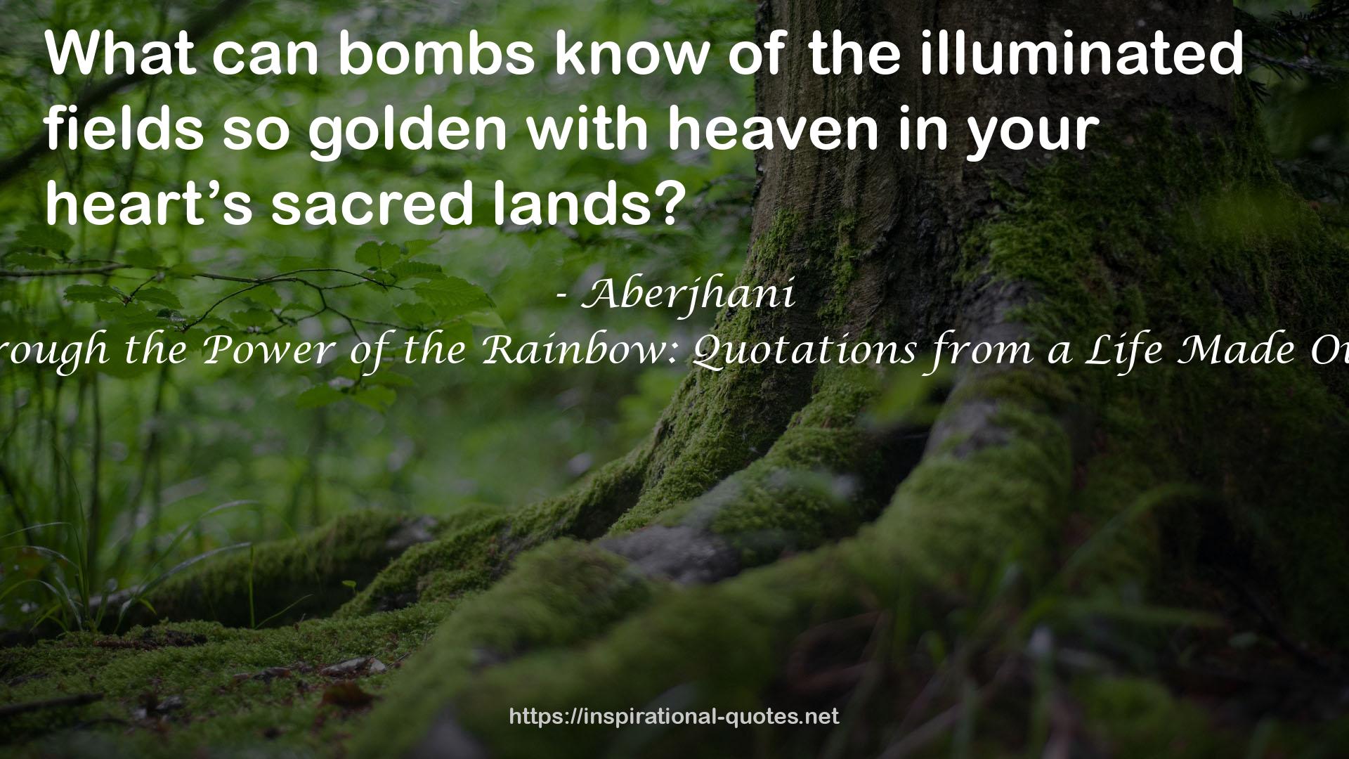 the illuminated fields  QUOTES