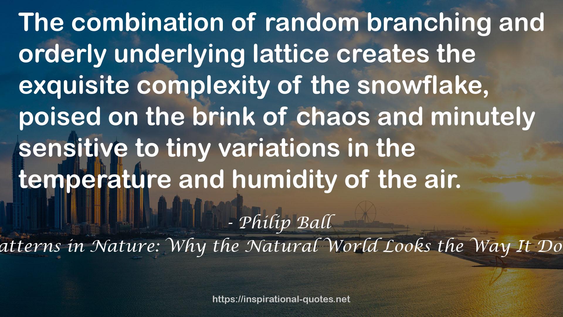 Patterns in Nature: Why the Natural World Looks the Way It Does QUOTES