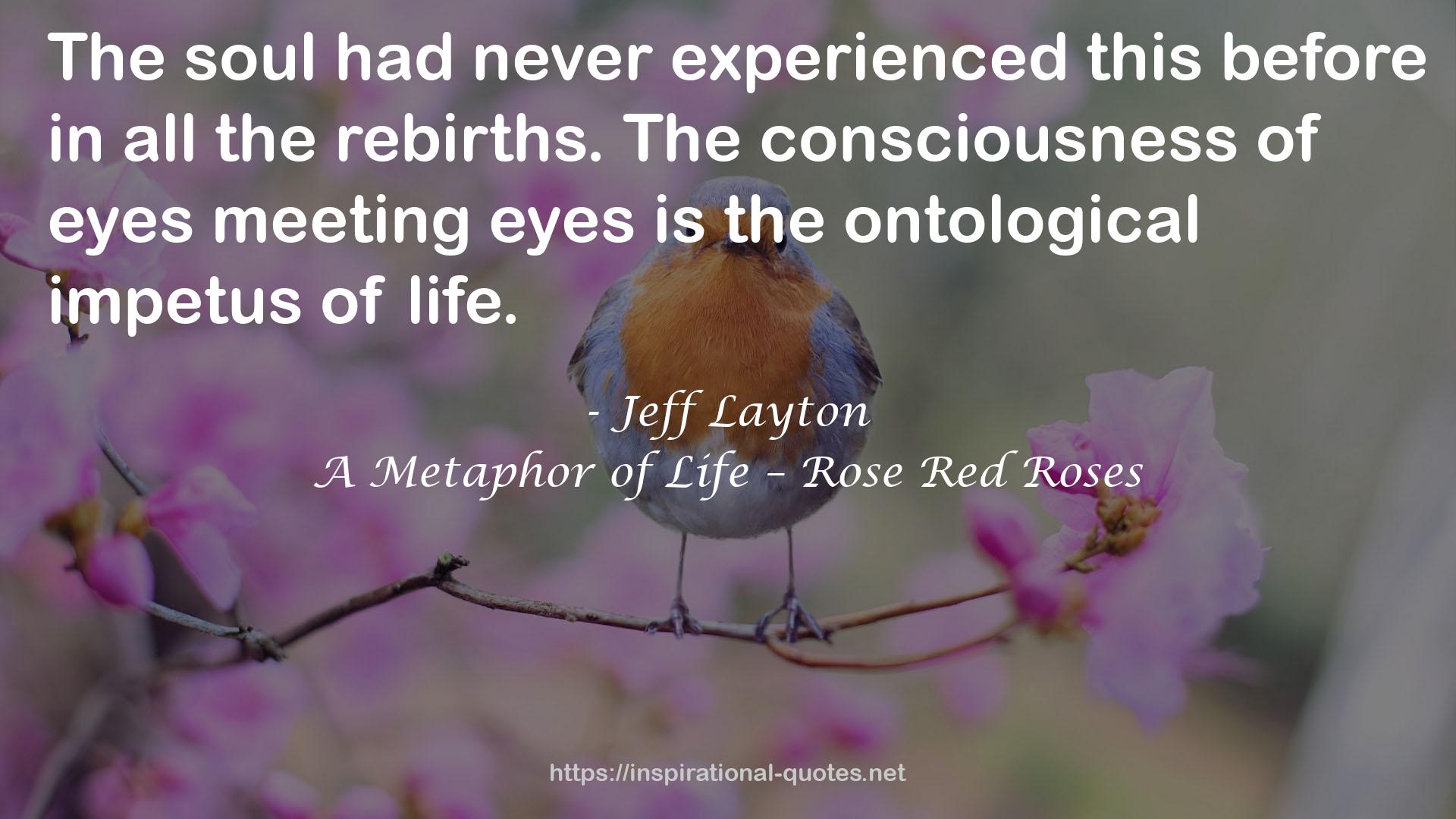 A Metaphor of Life – Rose Red Roses QUOTES