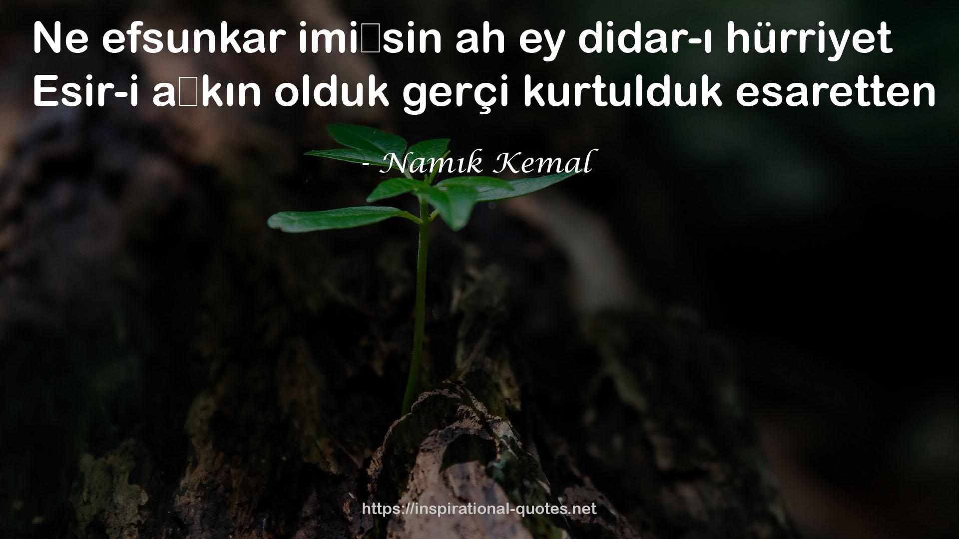 Namık Kemal QUOTES