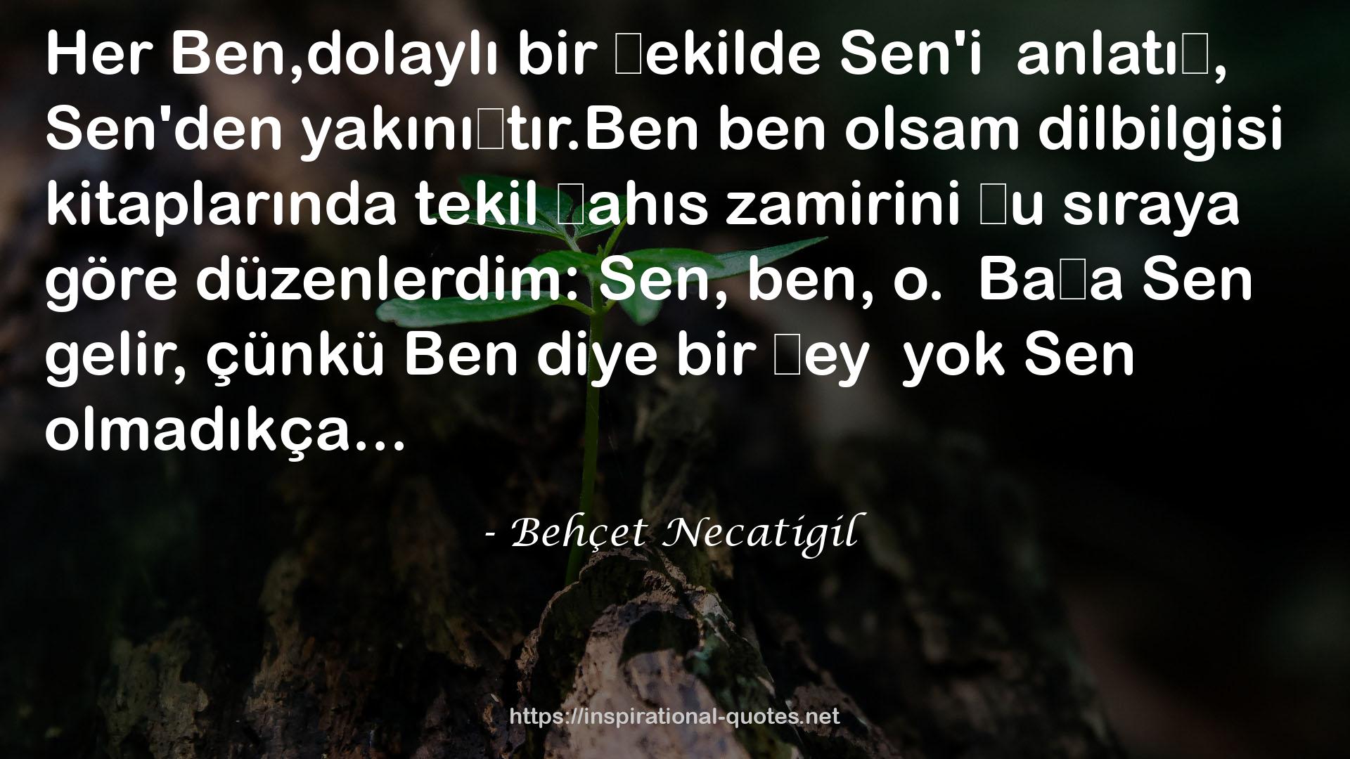 Behçet Necatigil QUOTES