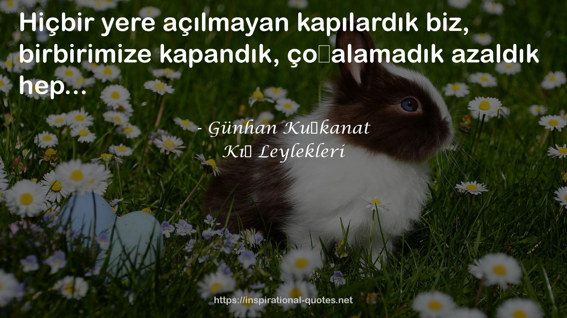 Kış Leylekleri QUOTES