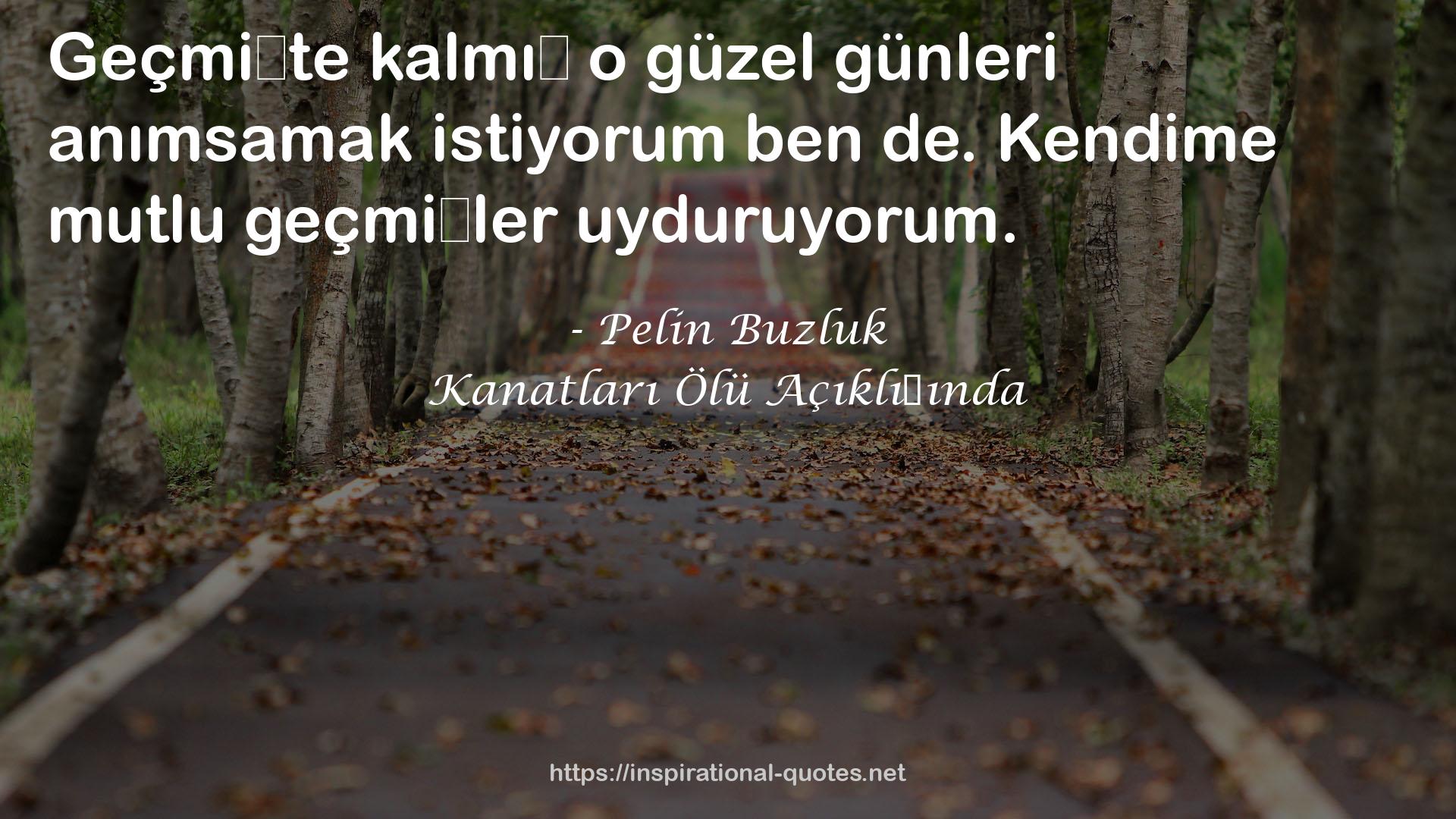 Kanatları Ölü Açıklığında QUOTES