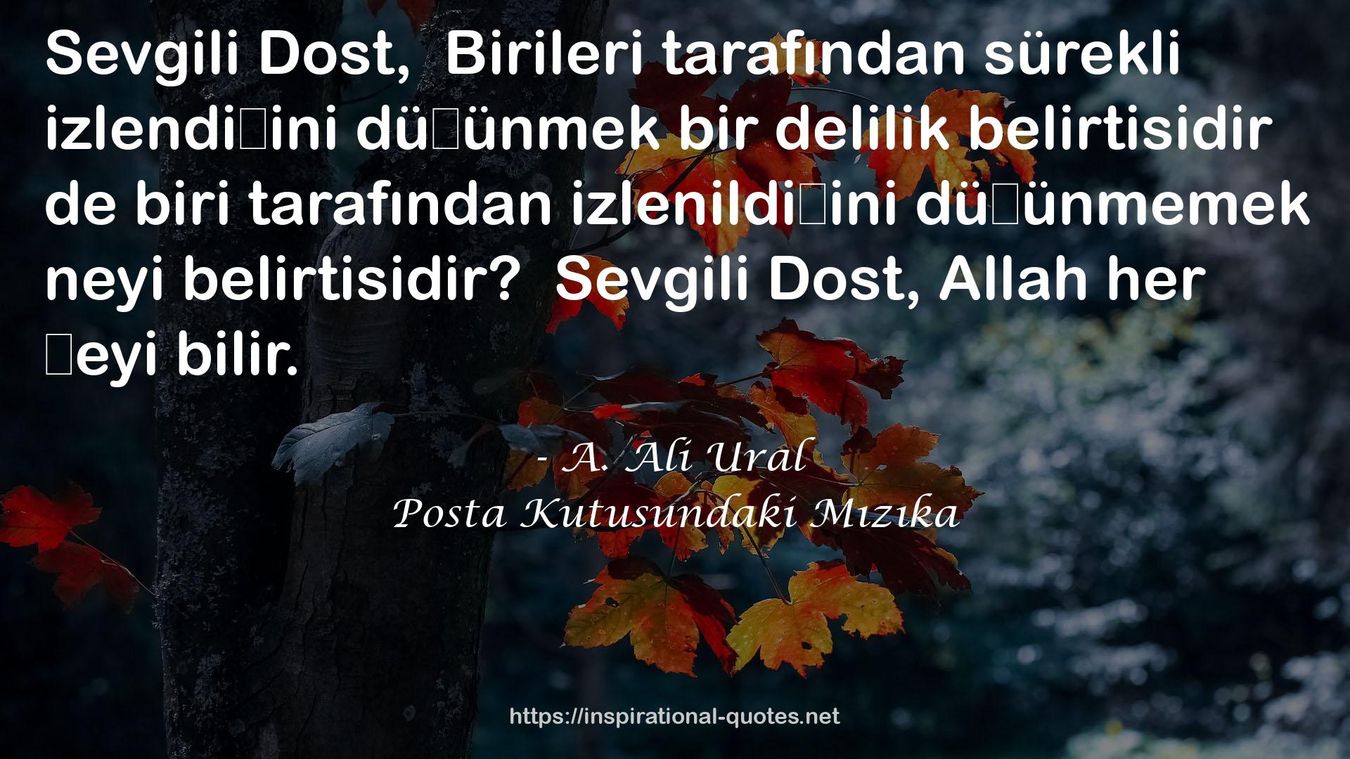 Posta Kutusundaki Mızıka QUOTES