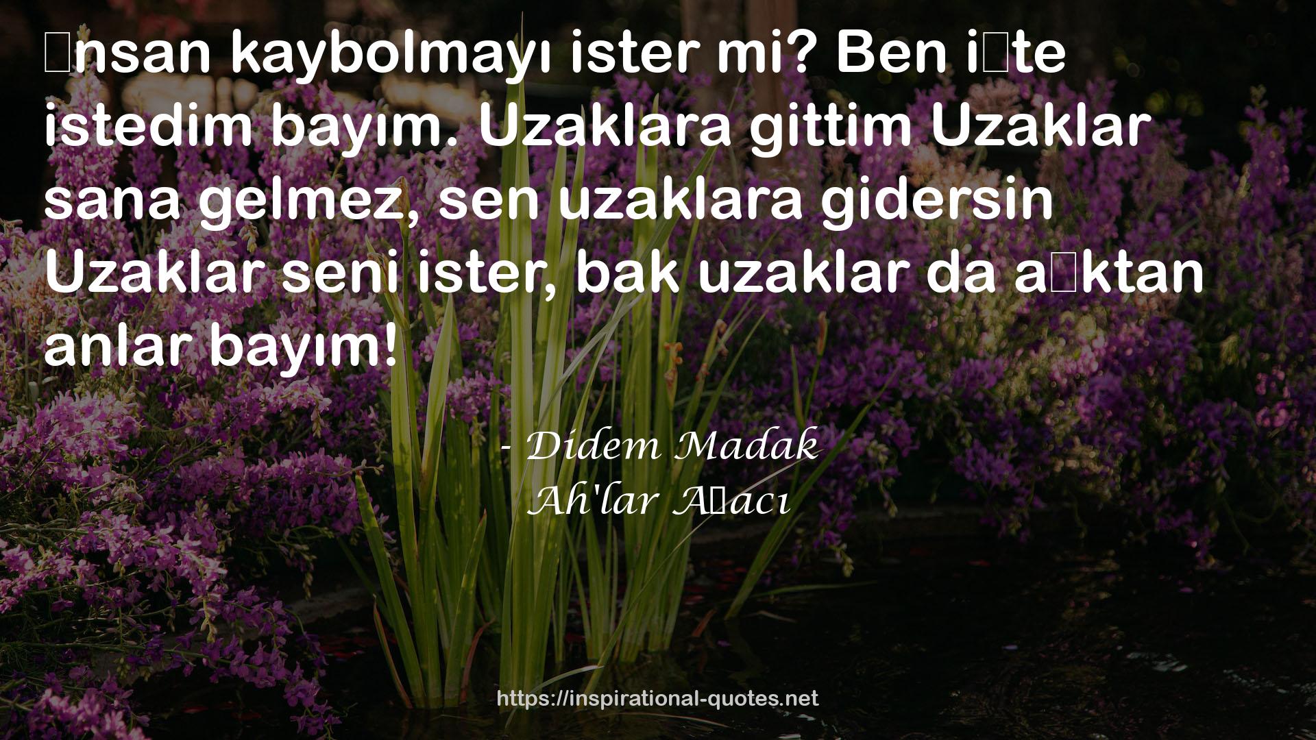 Ah'lar Ağacı QUOTES