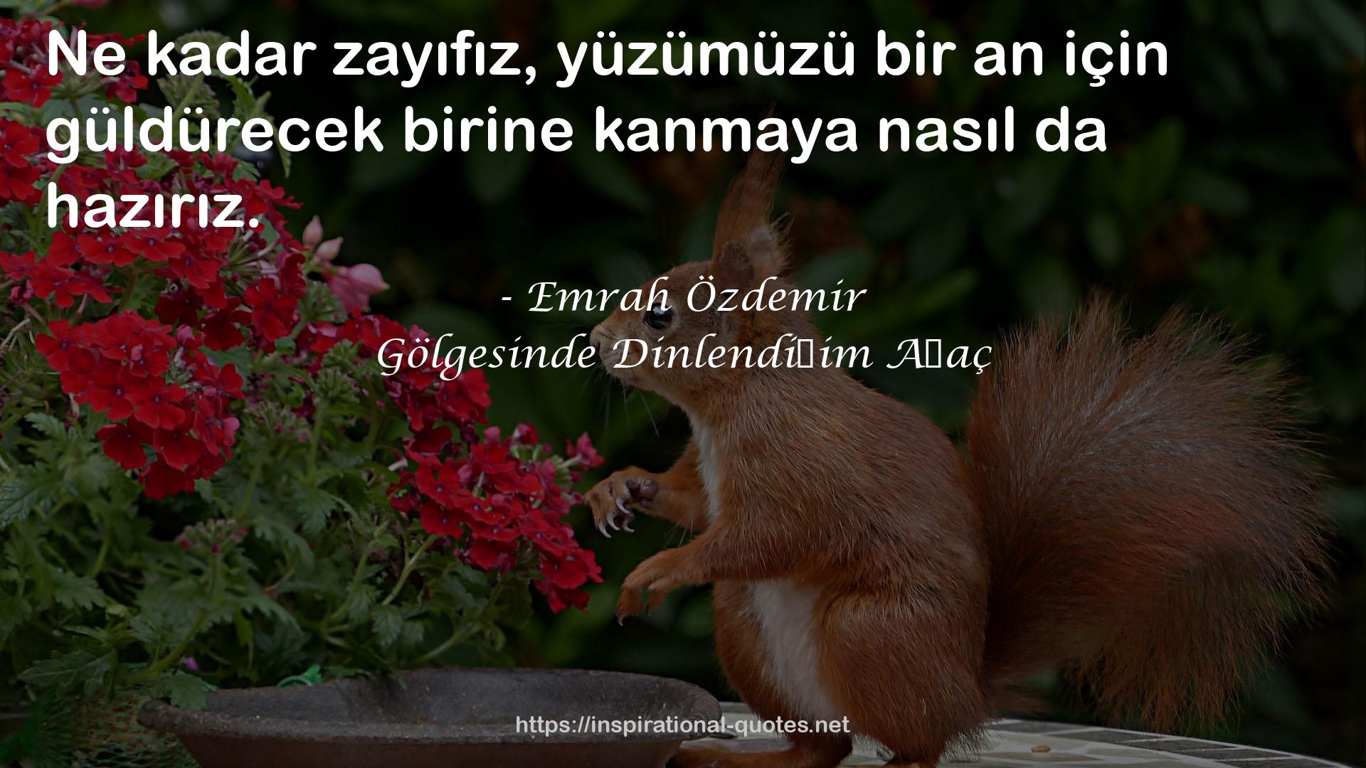 Emrah Özdemir QUOTES