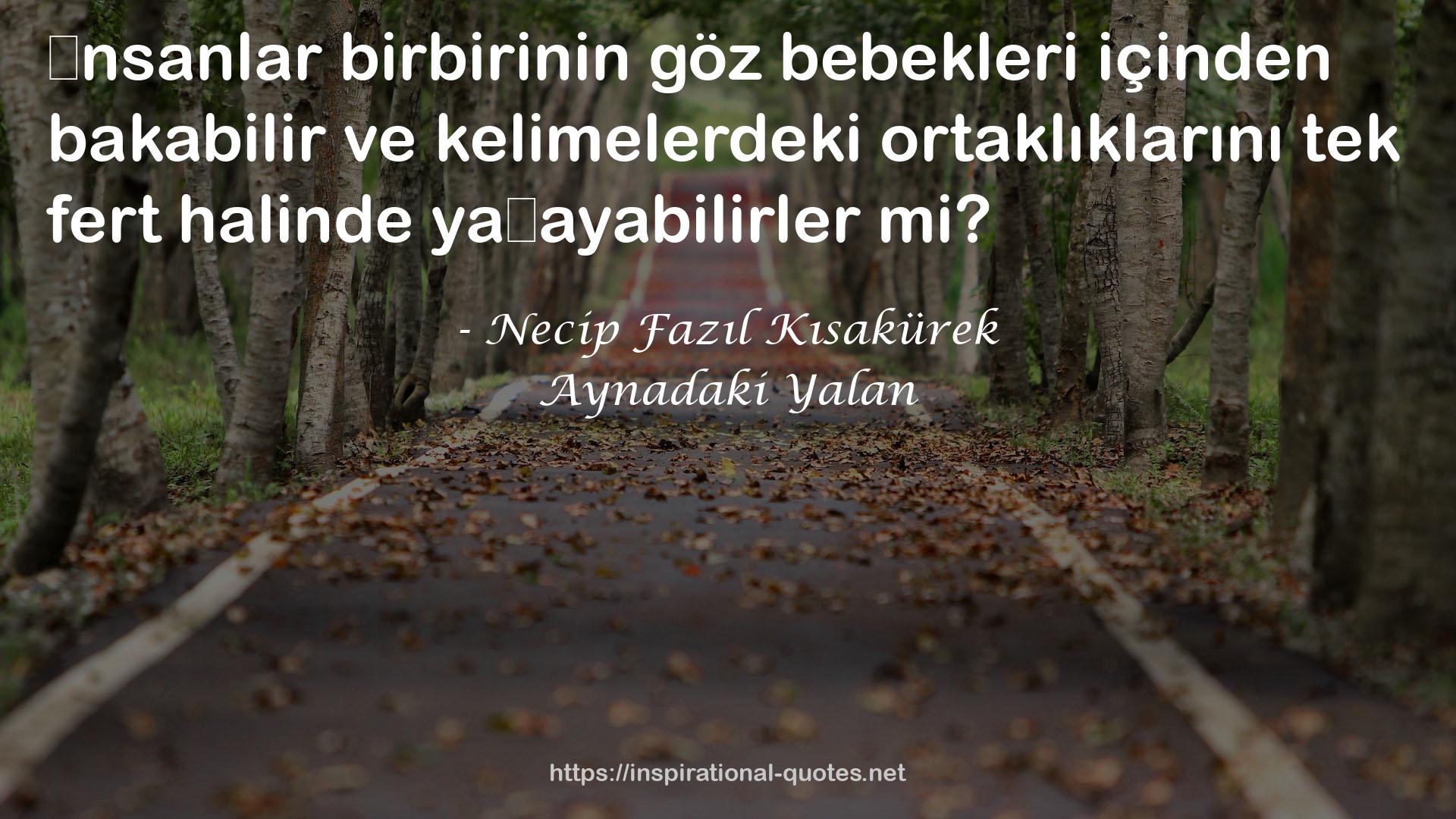 Aynadaki Yalan QUOTES