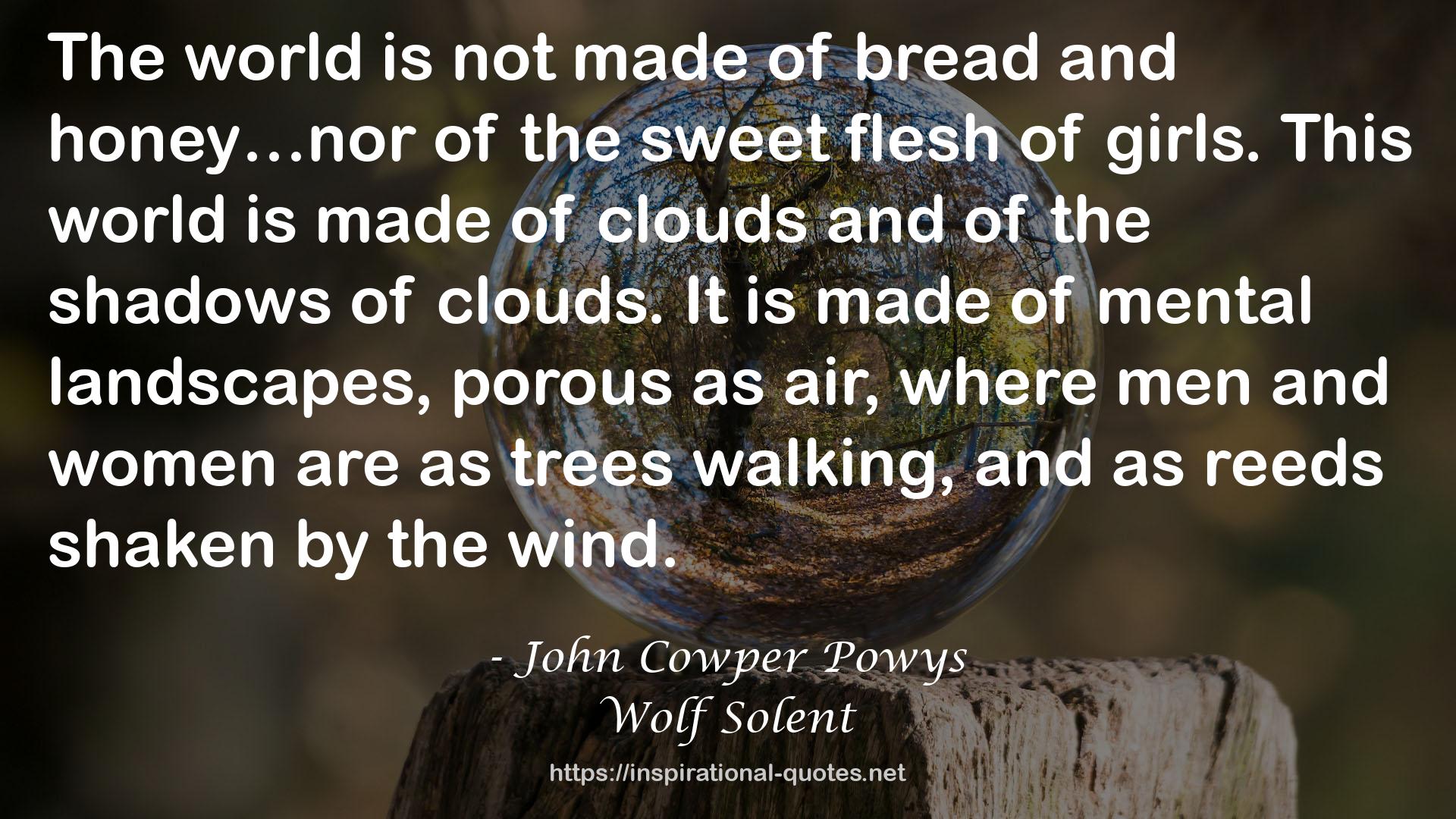 Wolf Solent QUOTES