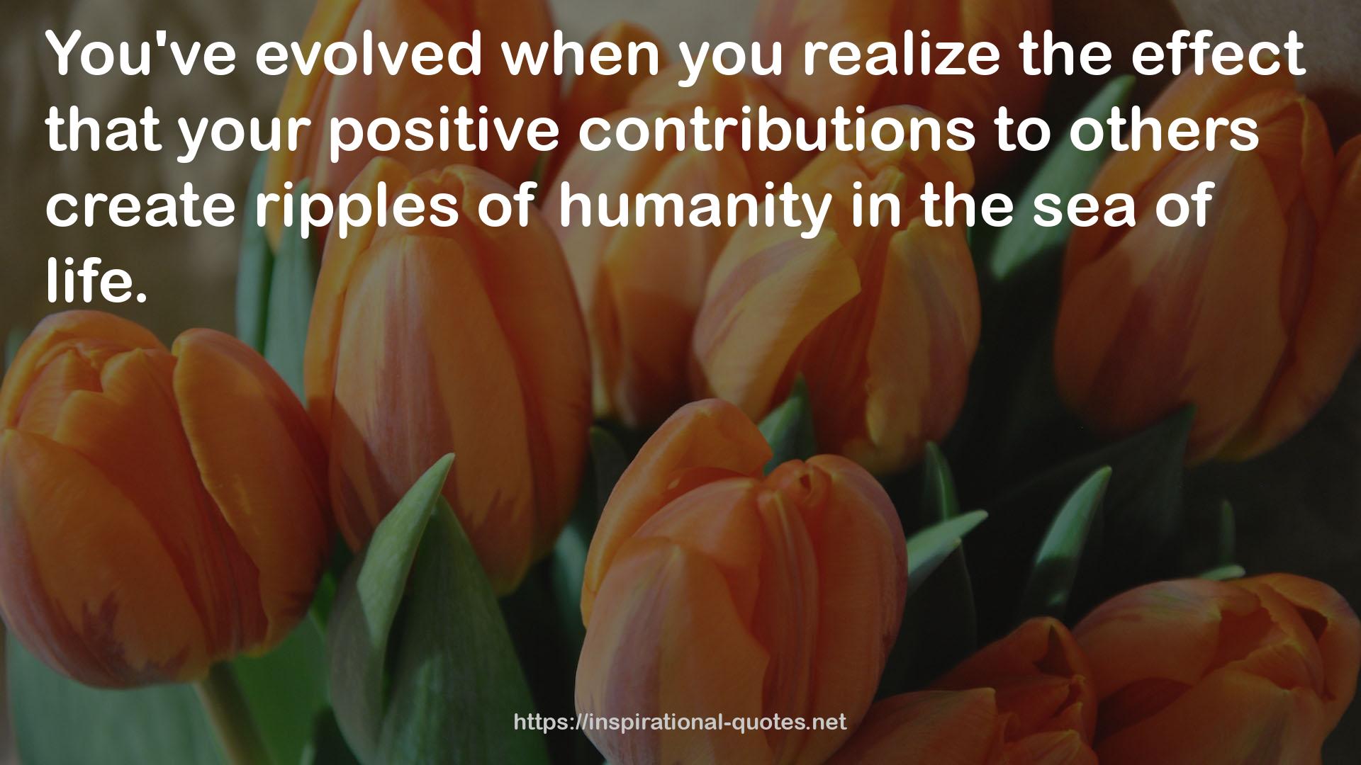 your positive contributions  QUOTES