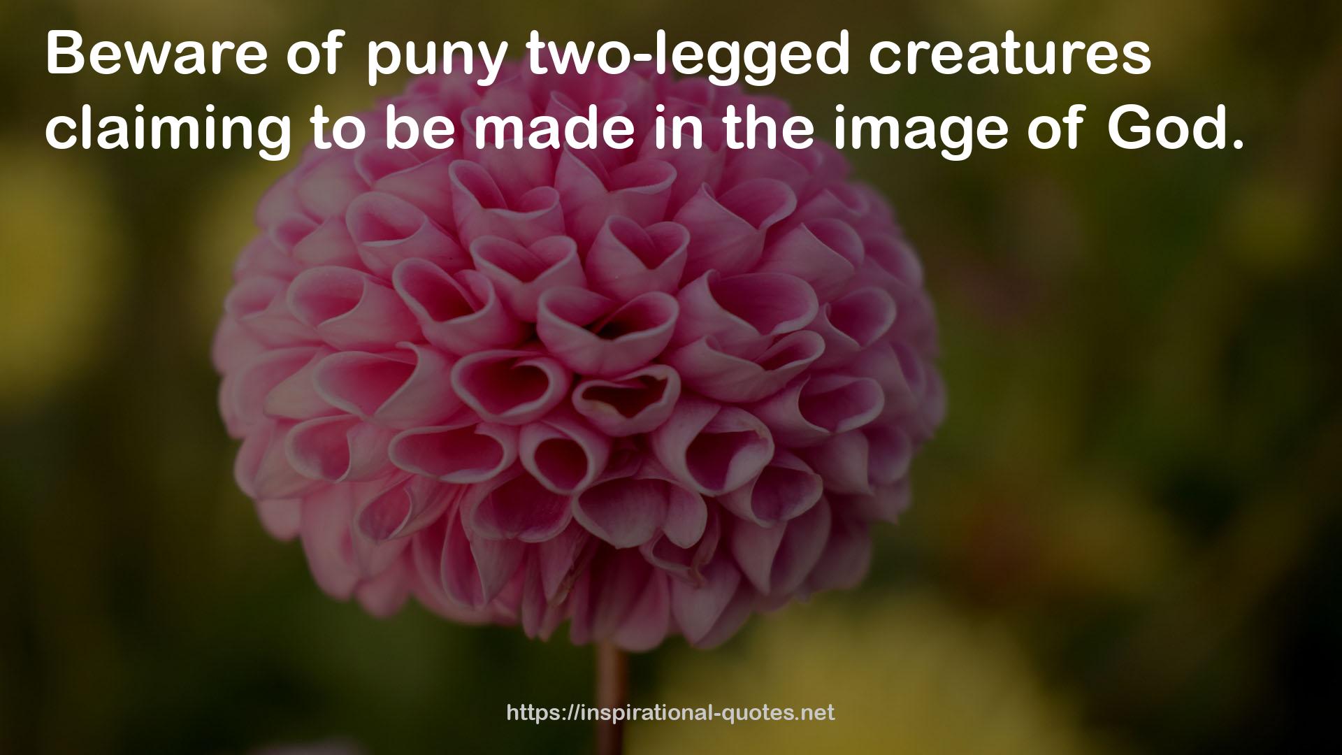 puny two-legged creatures  QUOTES