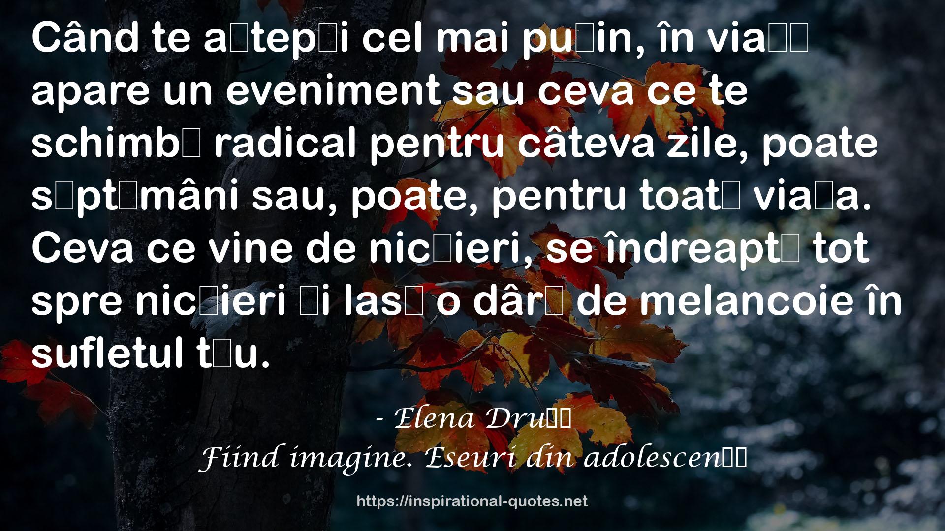 Fiind imagine. Eseuri din adolescență QUOTES