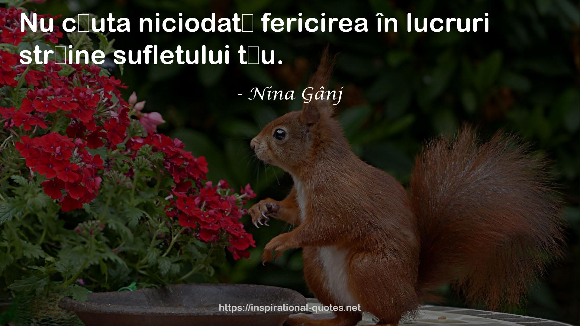 Nina Gânj QUOTES