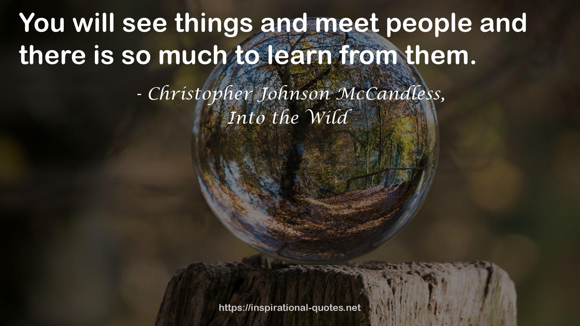Christopher Johnson McCandless, QUOTES