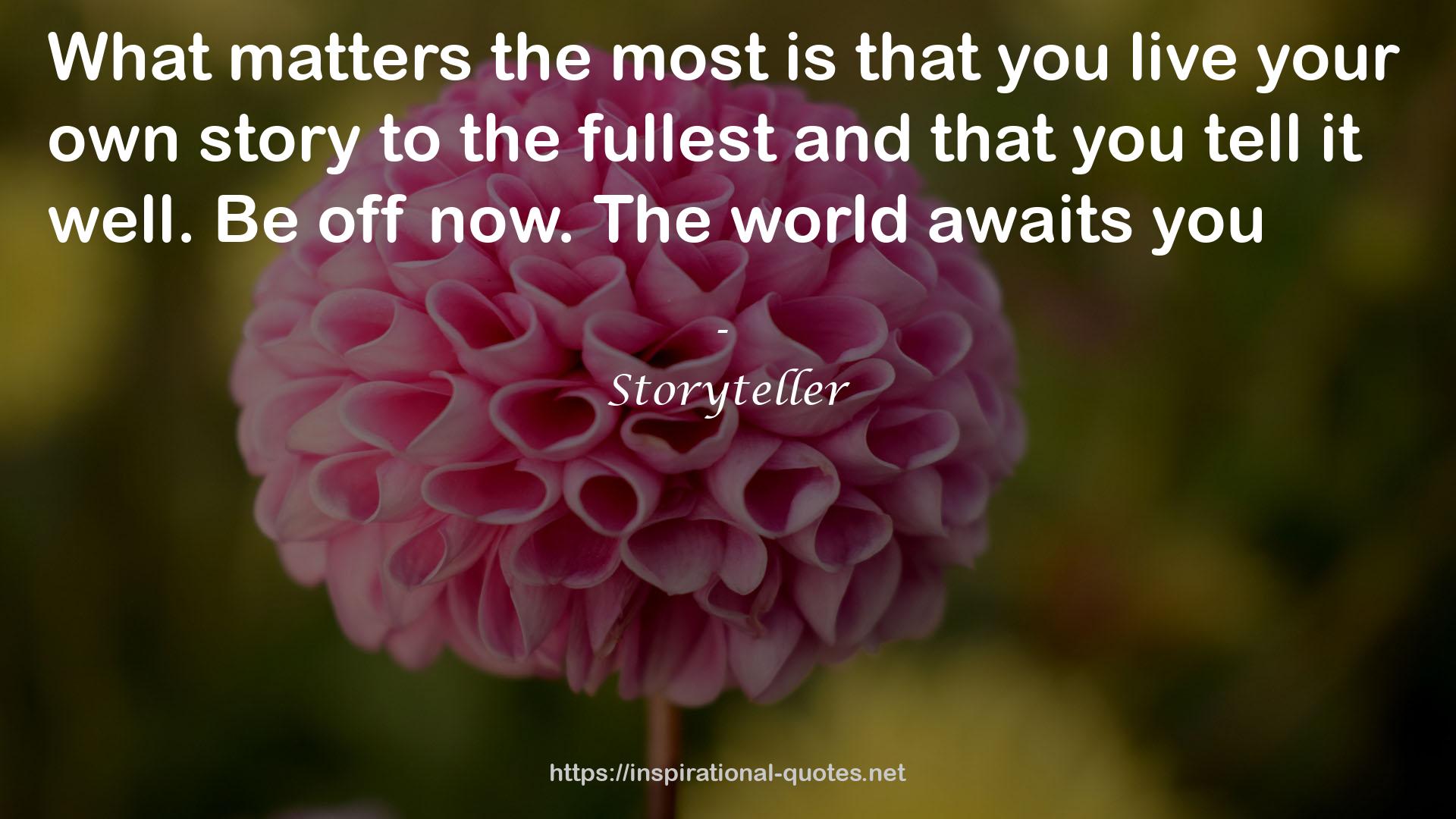 Storyteller QUOTES