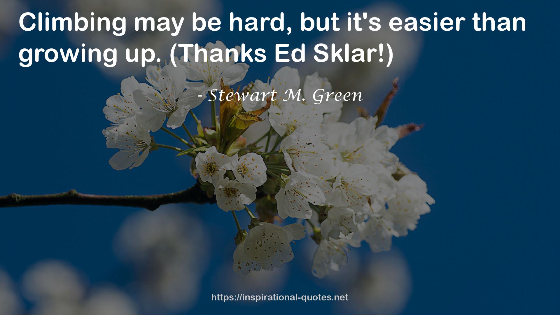 Stewart M. Green QUOTES