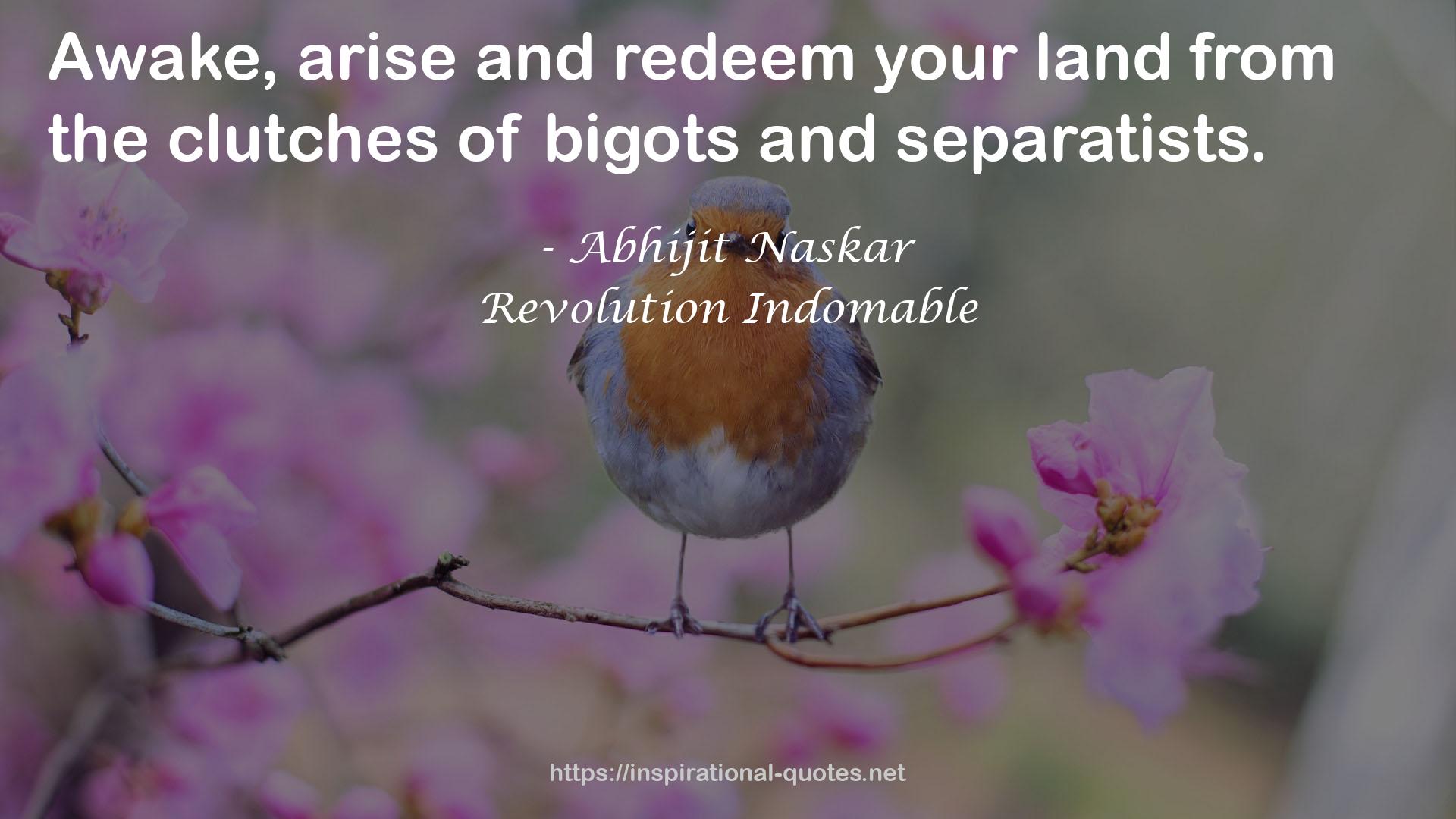 Revolution Indomable QUOTES