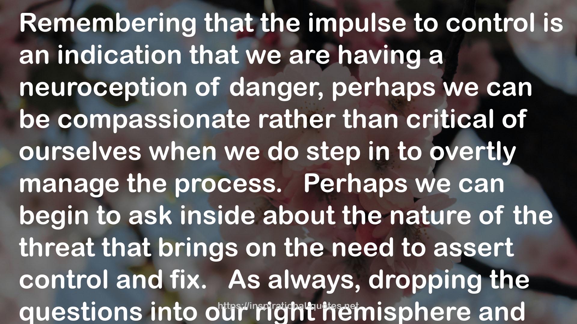 The Heart of Trauma: Healing the Embodied Brain in the Context of Relationships QUOTES