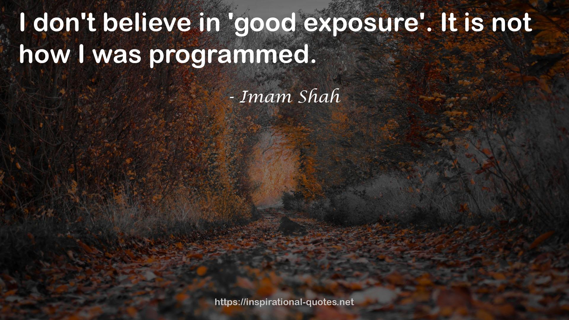 Imam Shah QUOTES