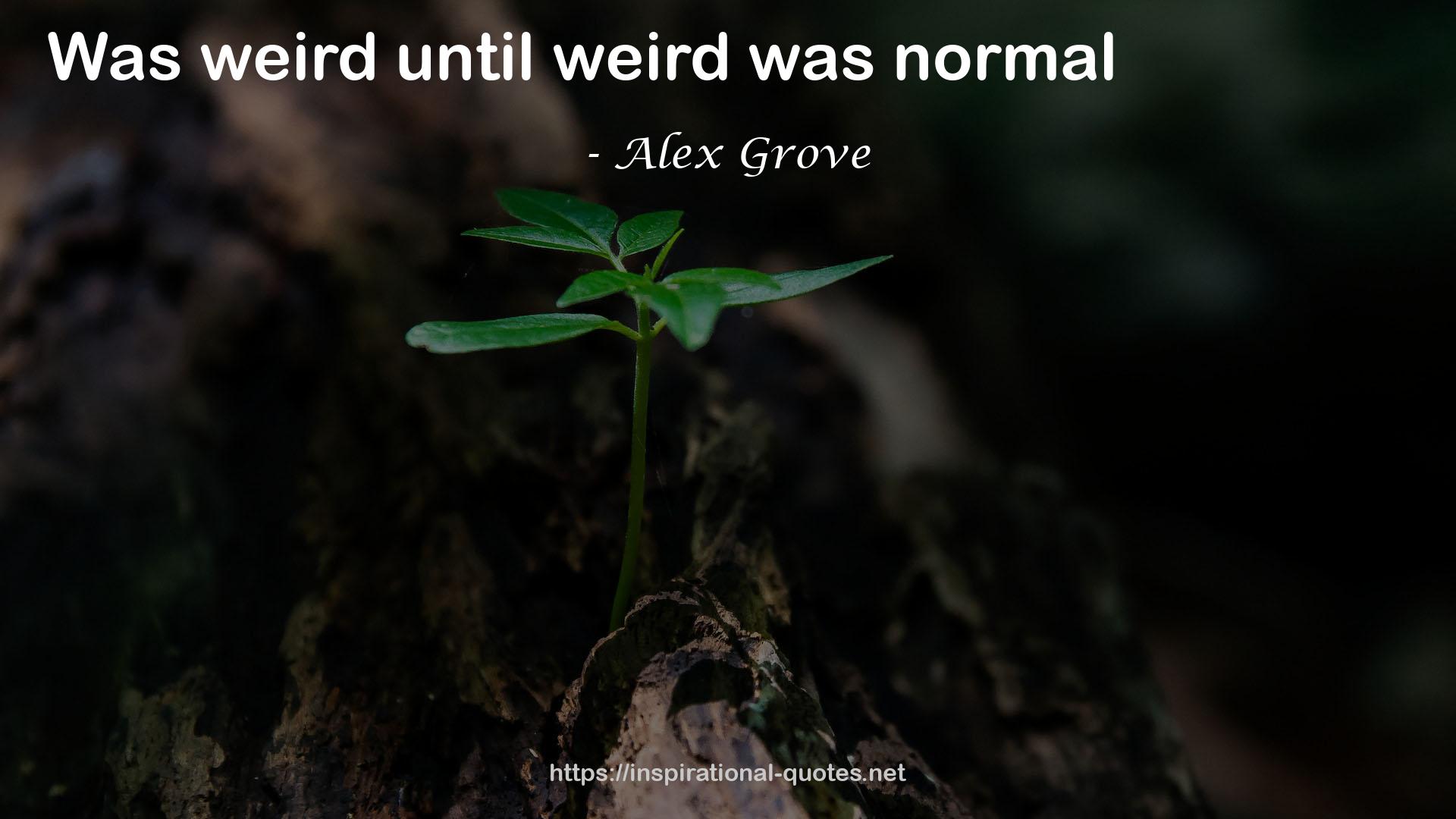 Alex Grove QUOTES