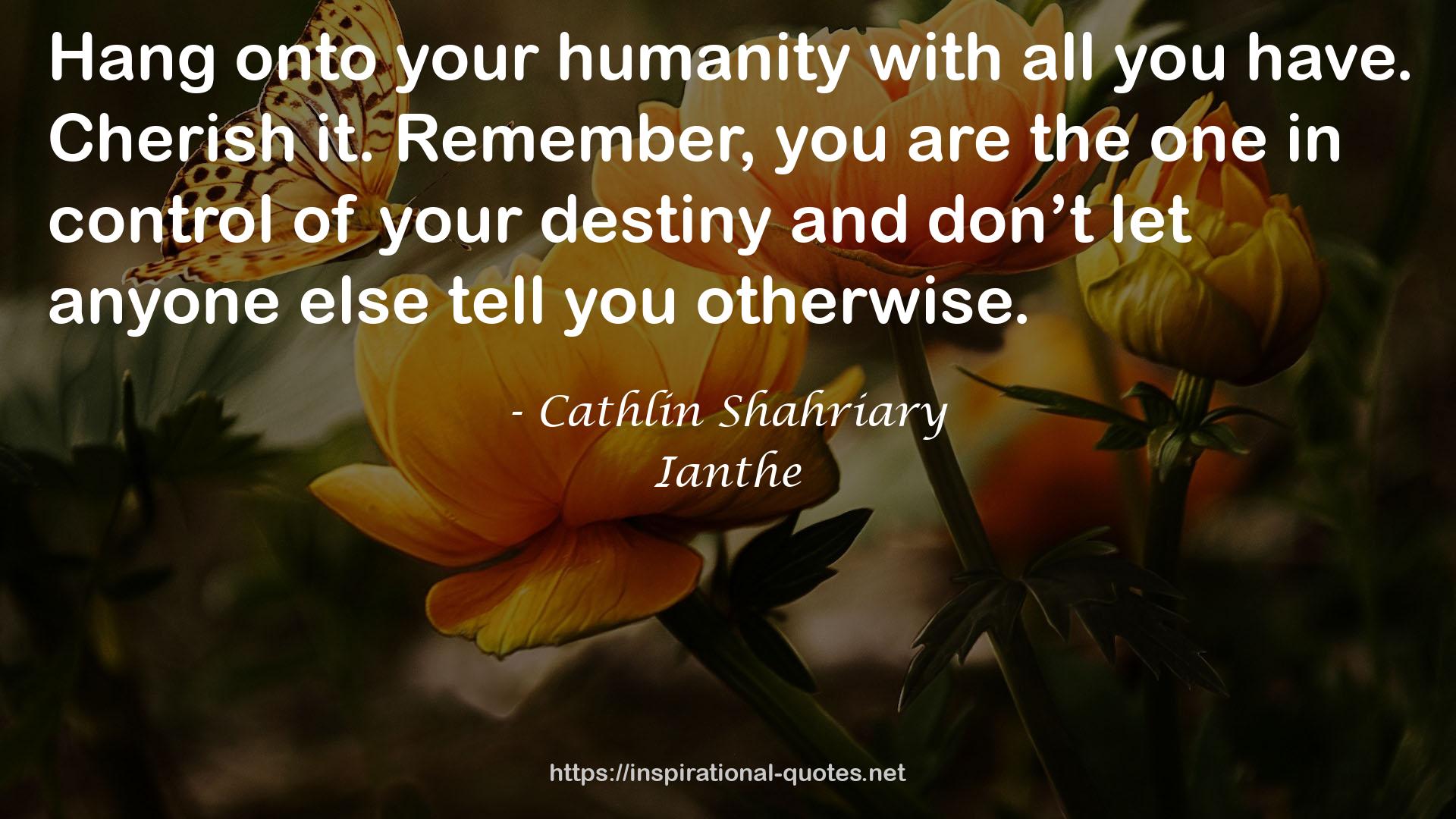 Cathlin Shahriary QUOTES