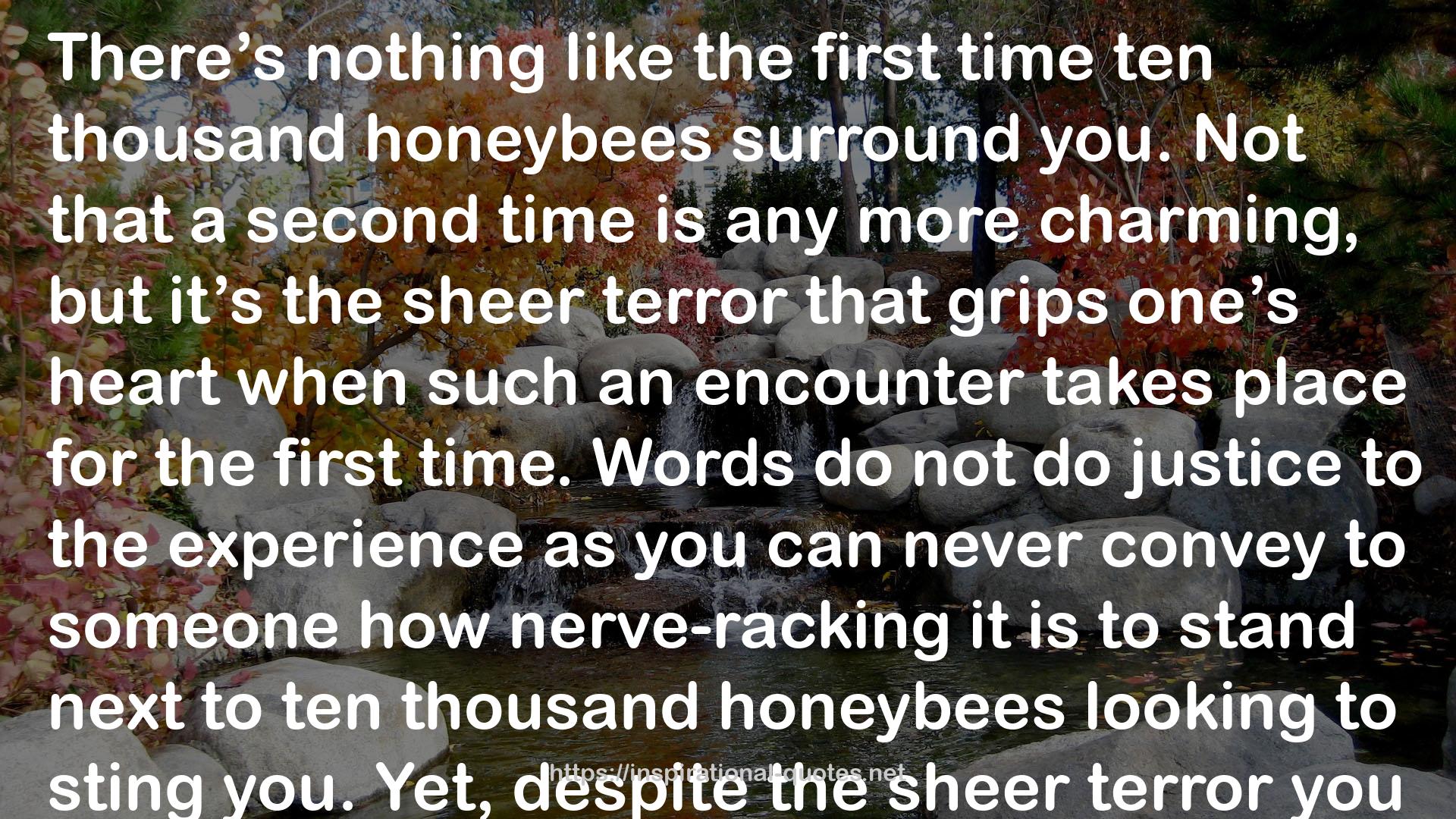 Bee Focused: What Honeybees Can Teach Us About Change, Crisis, and Communication QUOTES