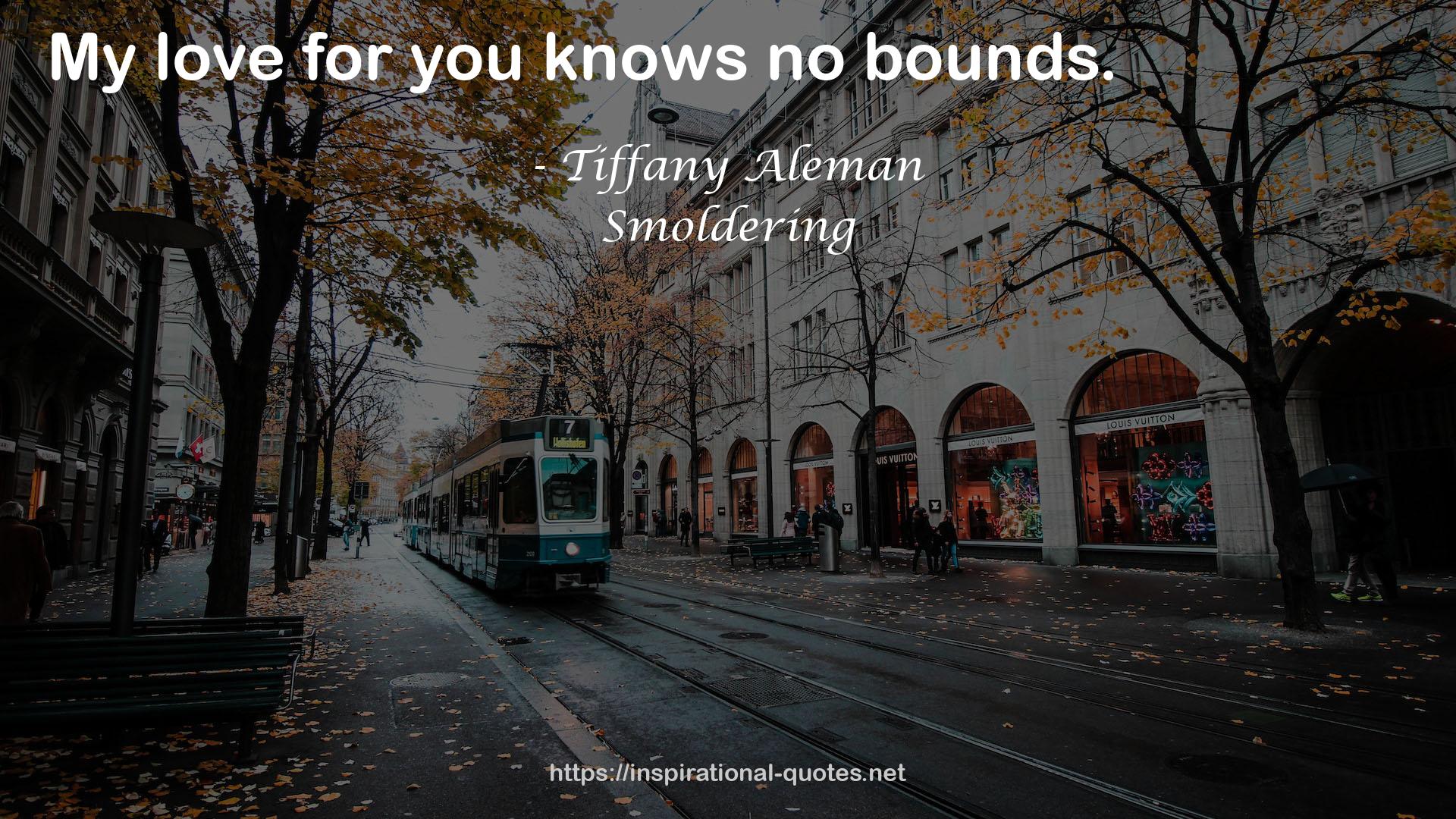 Tiffany Aleman QUOTES