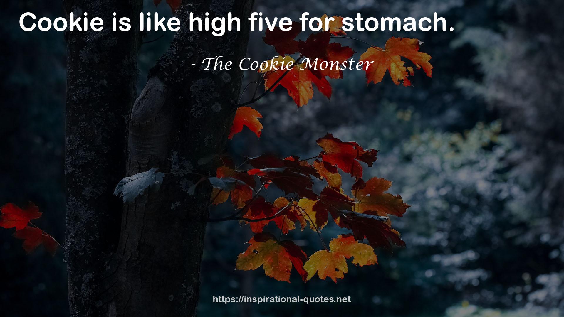 The Cookie Monster QUOTES