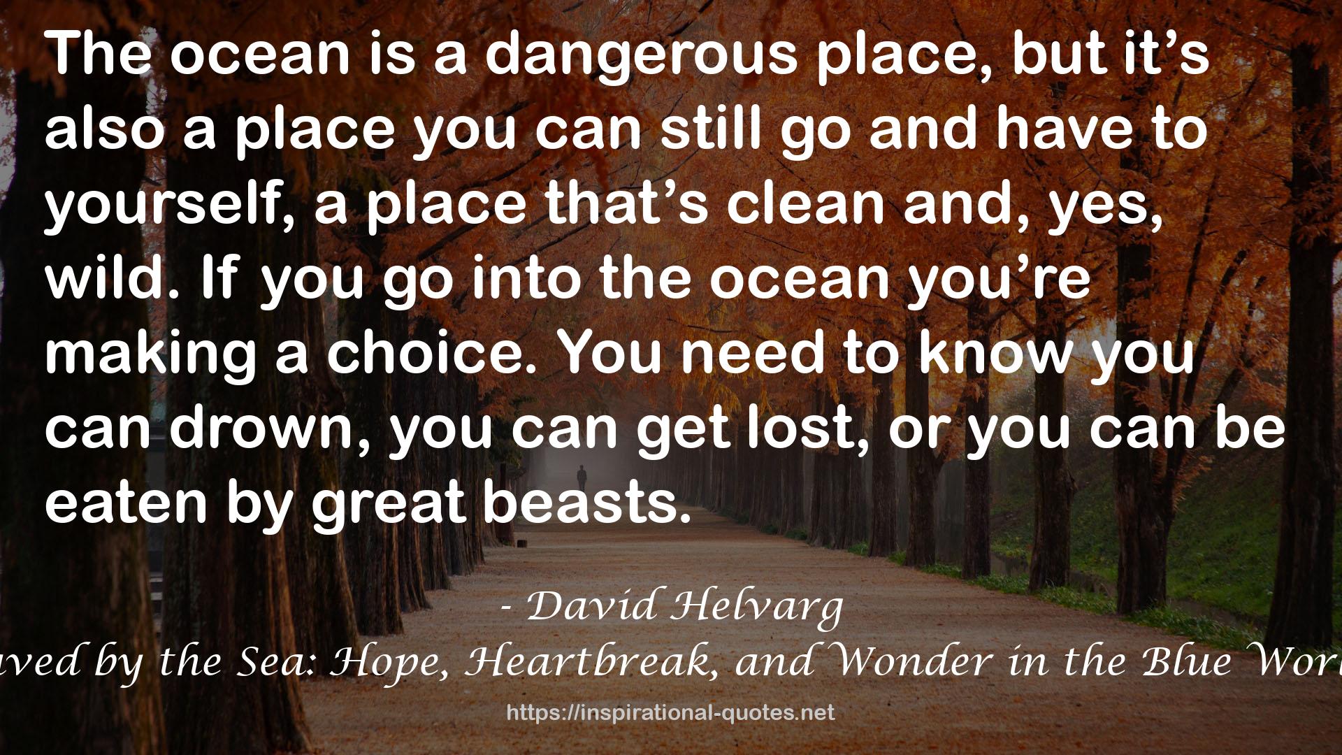 Saved by the Sea: Hope, Heartbreak, and Wonder in the Blue World QUOTES