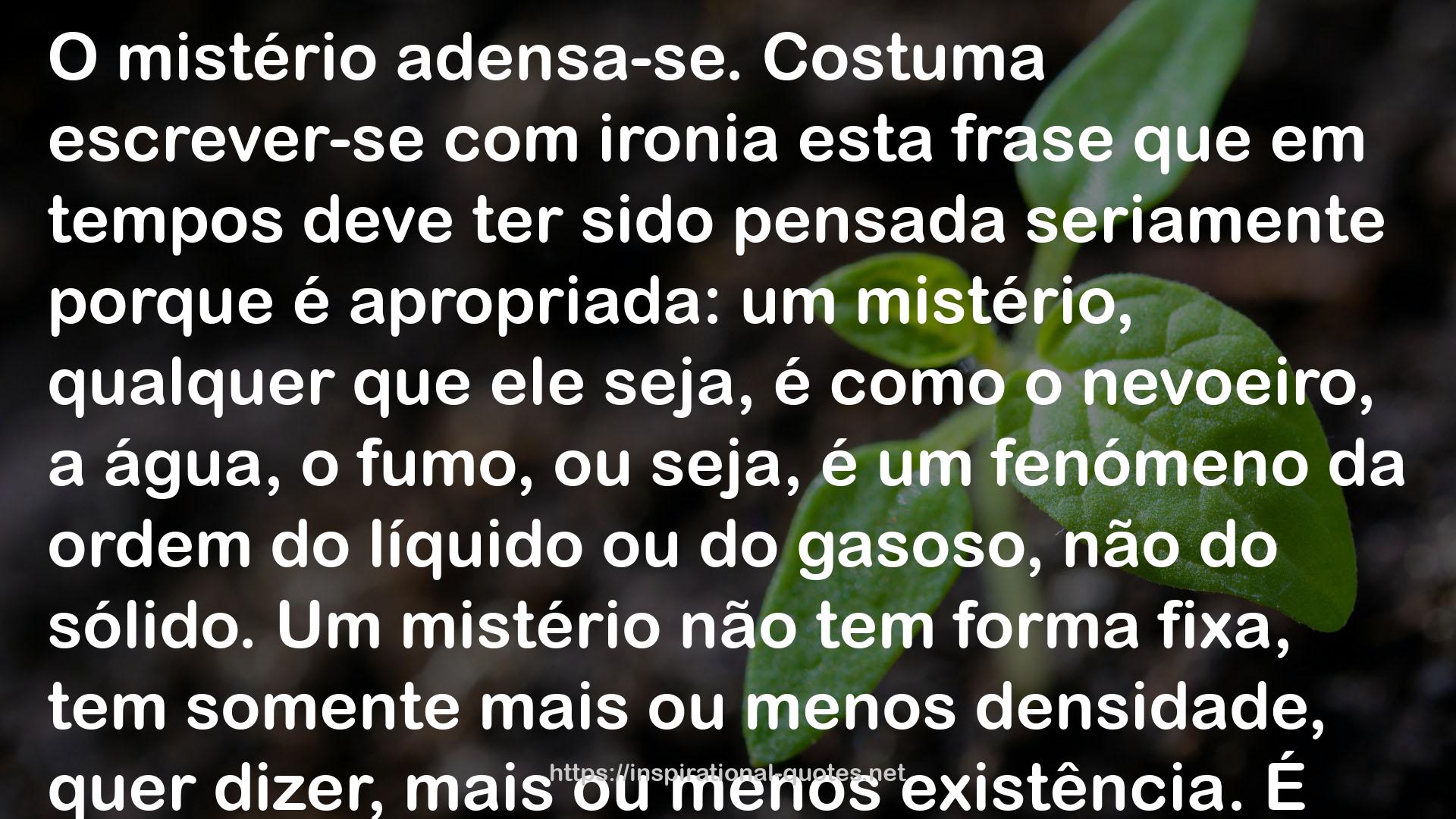 Paulo Varela Gomes QUOTES