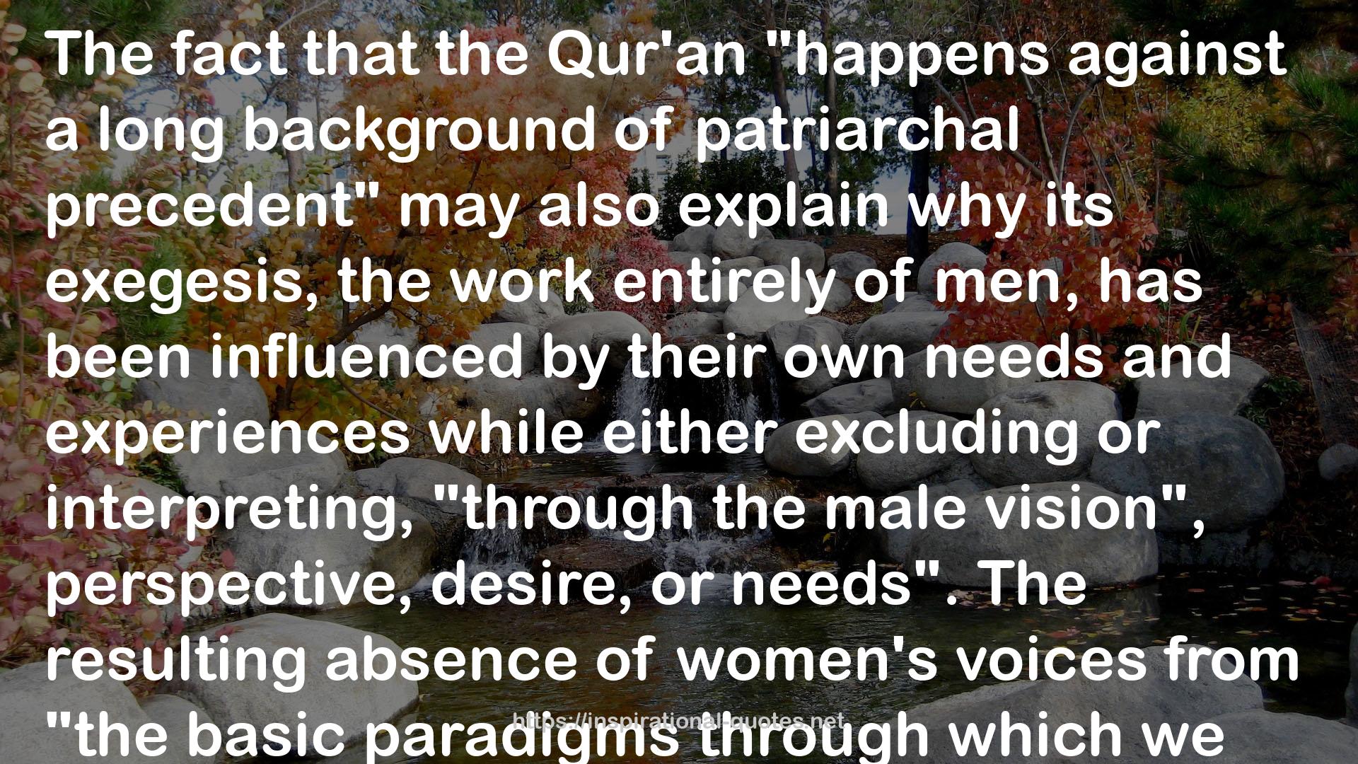 "Believing Women" in Islam: Unreading Patriarchal Interpretations of the Qur'an QUOTES