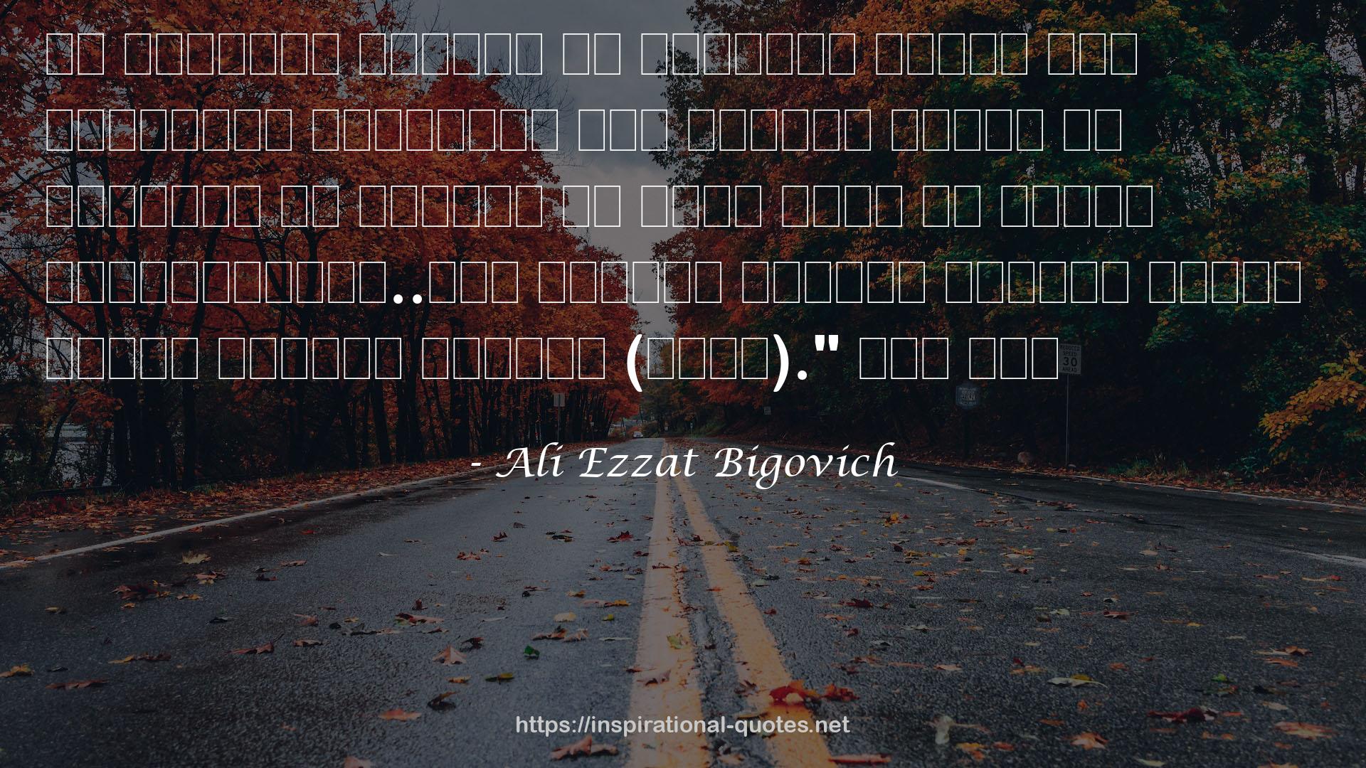 Ali Ezzat Bigovich QUOTES