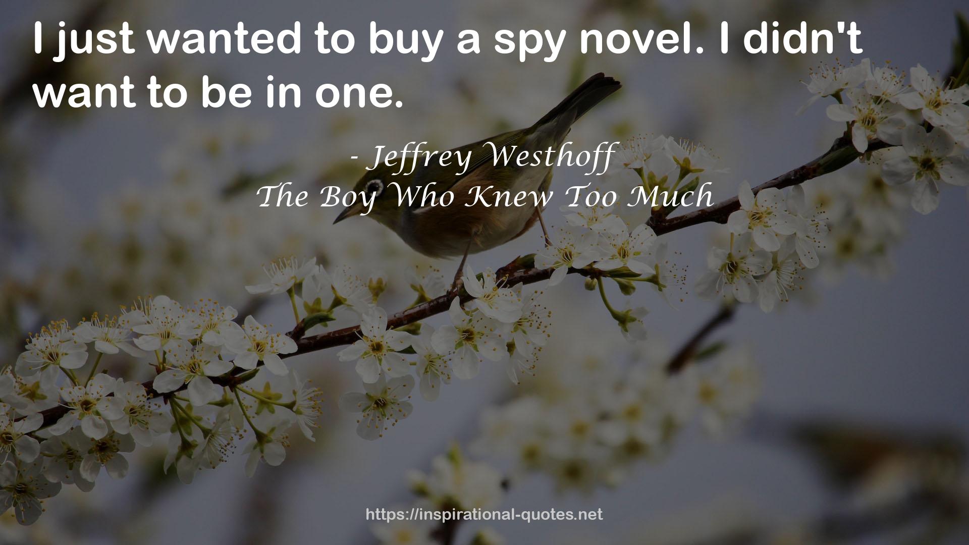 The Boy Who Knew Too Much QUOTES