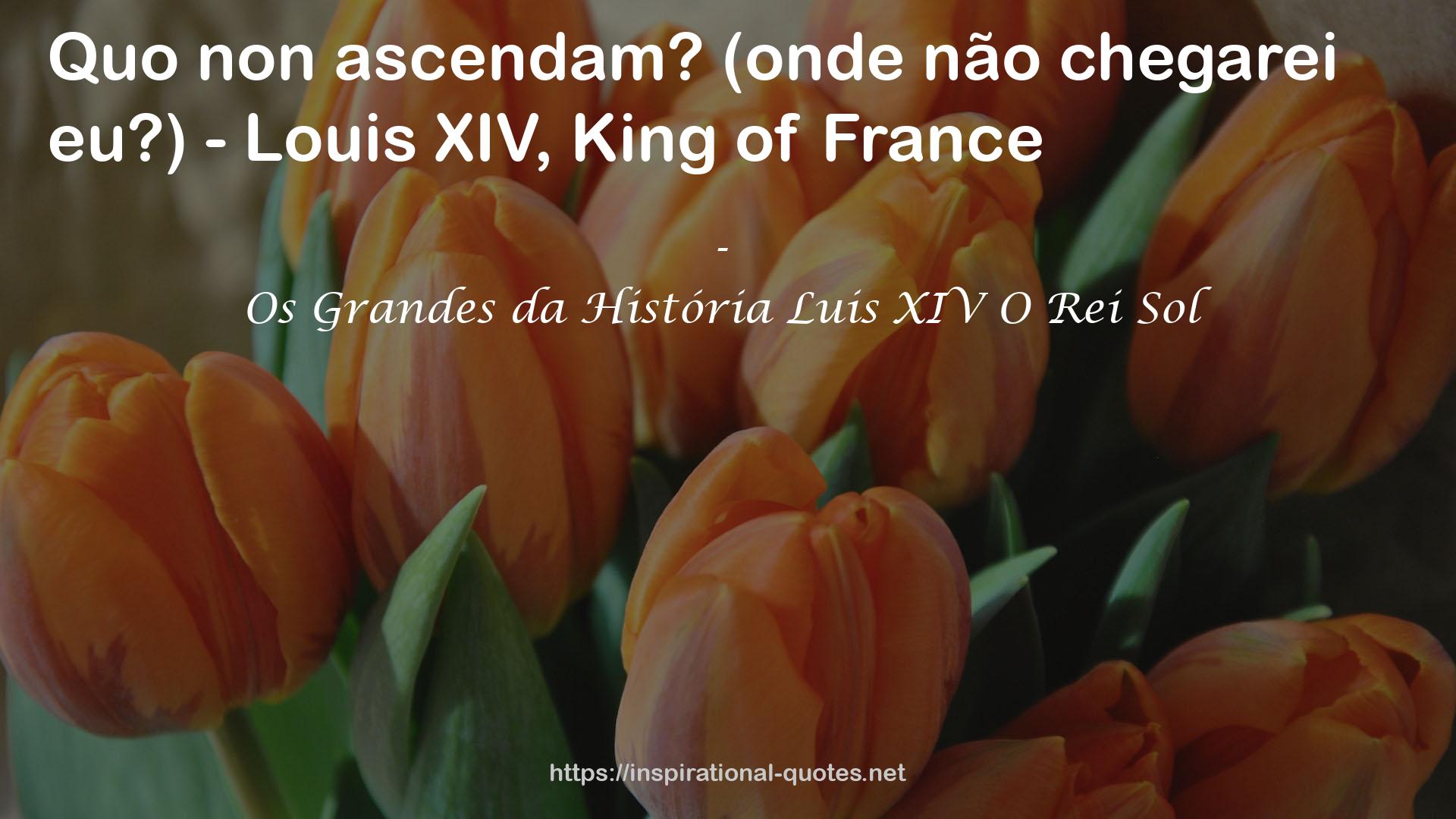 Os Grandes da História Luis XIV O Rei Sol QUOTES