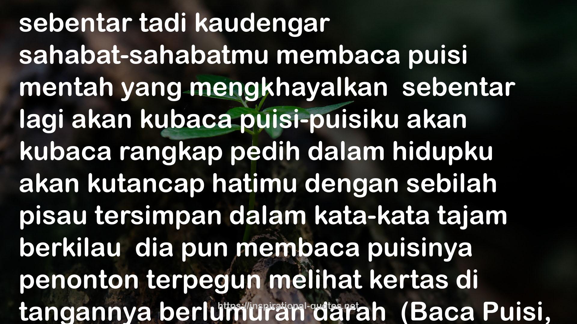 Petang Condong QUOTES