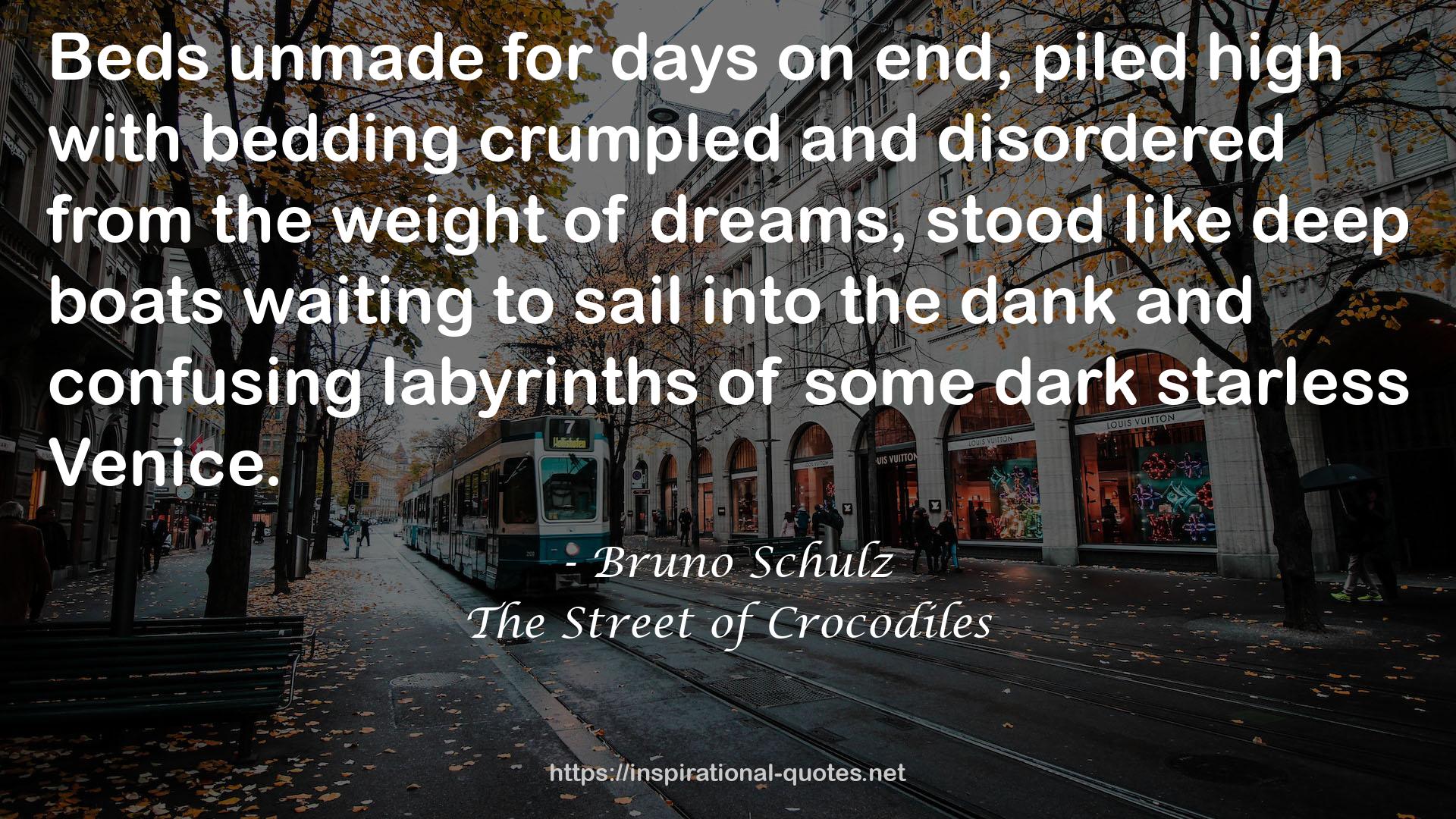 The Street of Crocodiles QUOTES