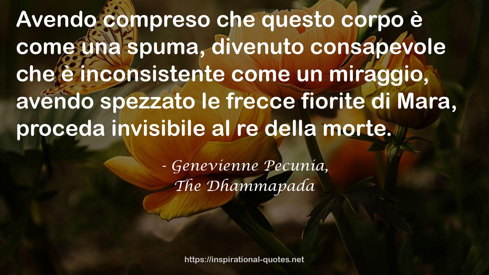 Genevienne Pecunia, QUOTES