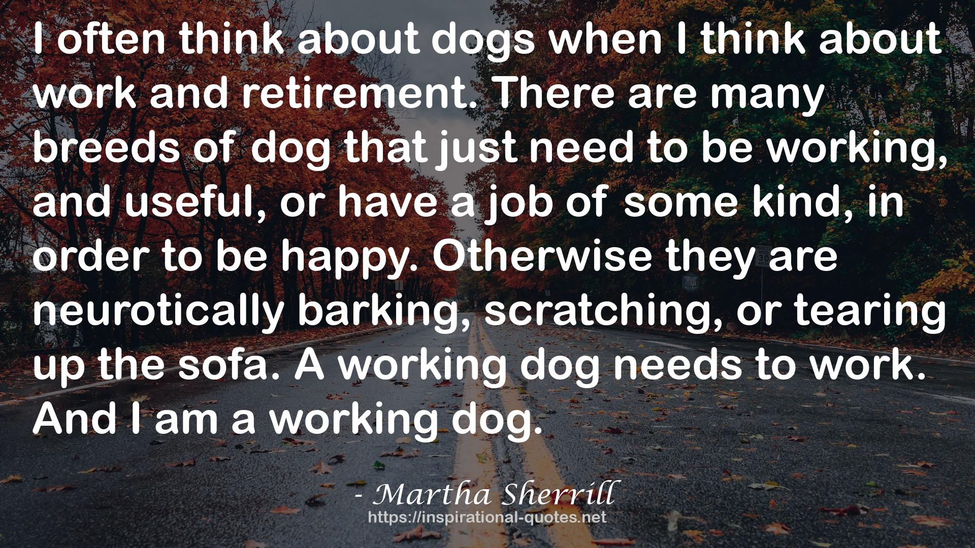 Martha Sherrill QUOTES