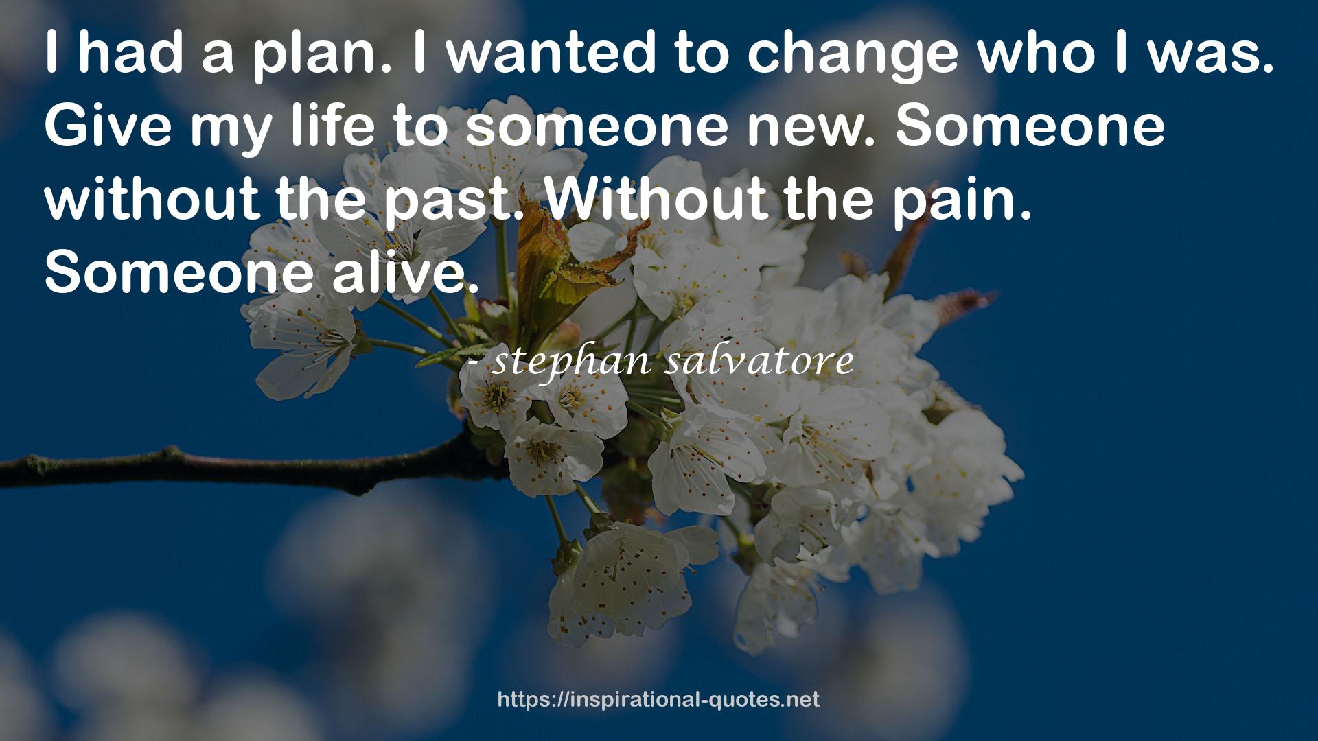 stephan salvatore QUOTES