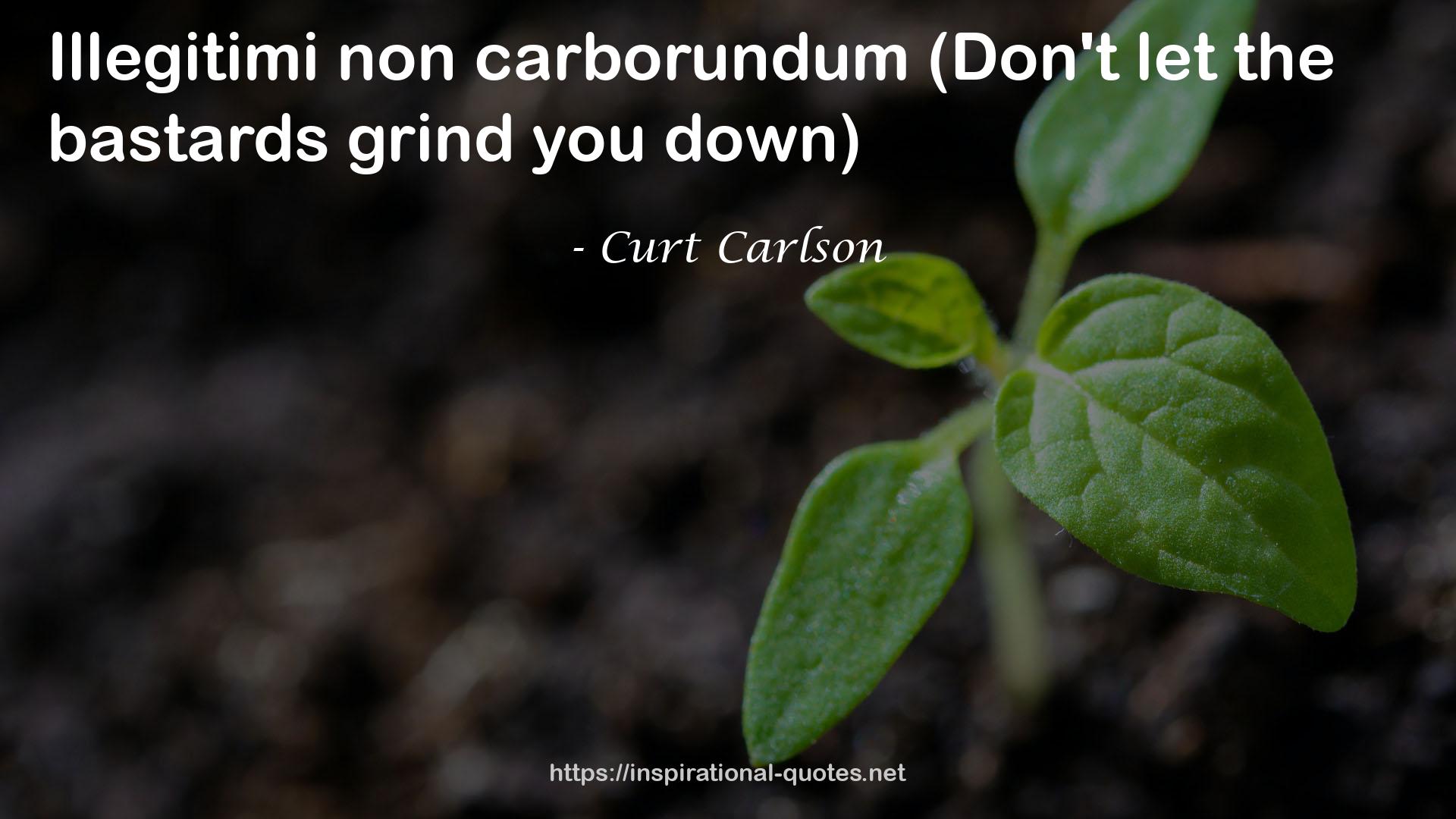 Curt Carlson QUOTES