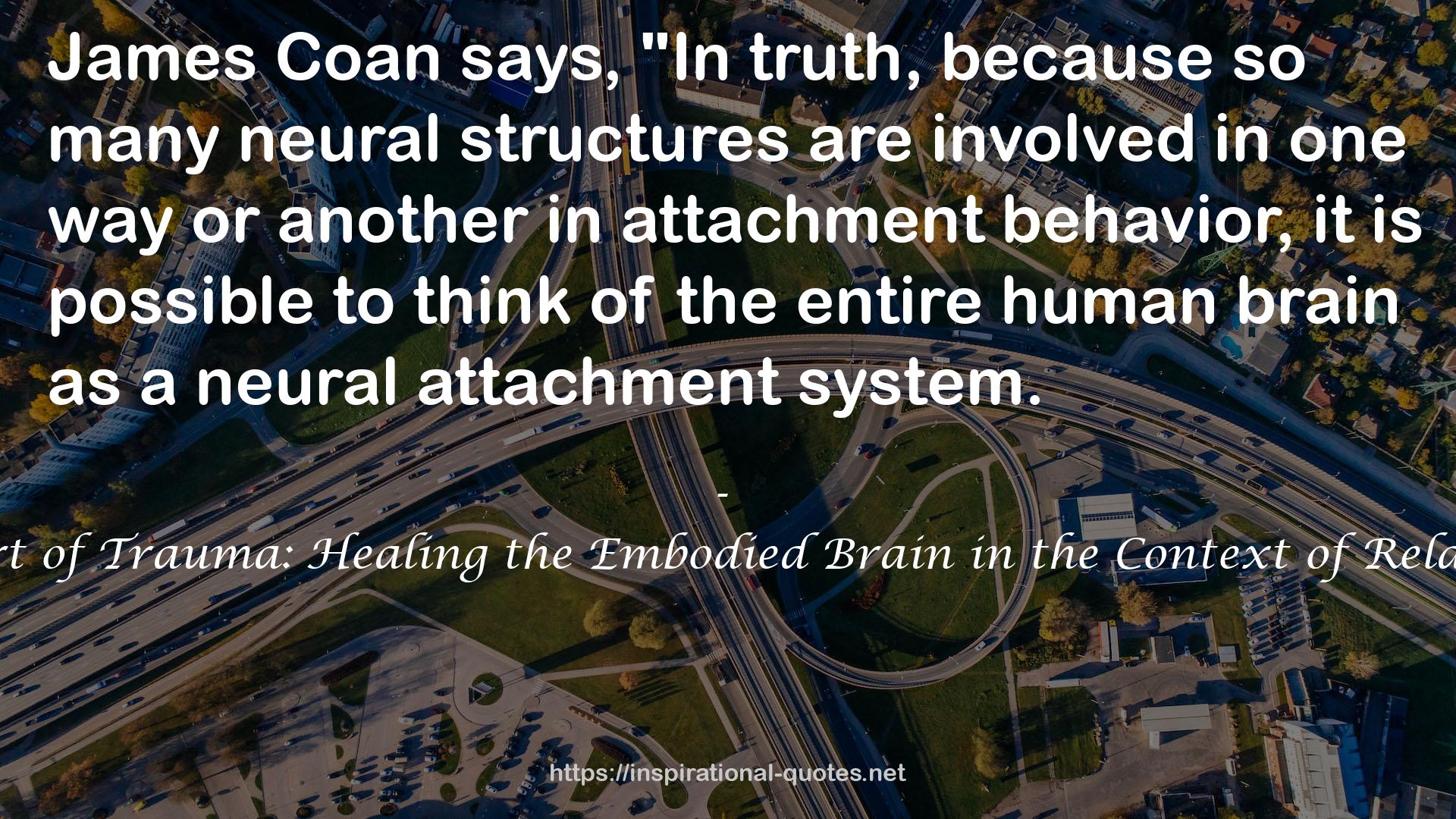 The Heart of Trauma: Healing the Embodied Brain in the Context of Relationships QUOTES