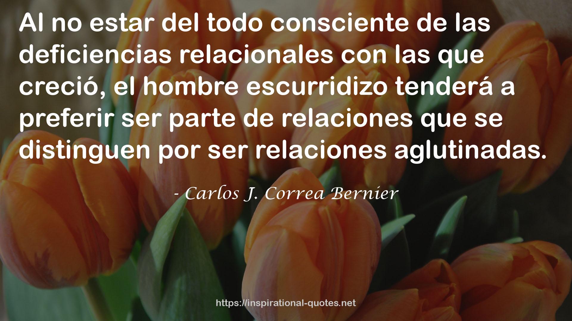 Carlos J. Correa Bernier QUOTES