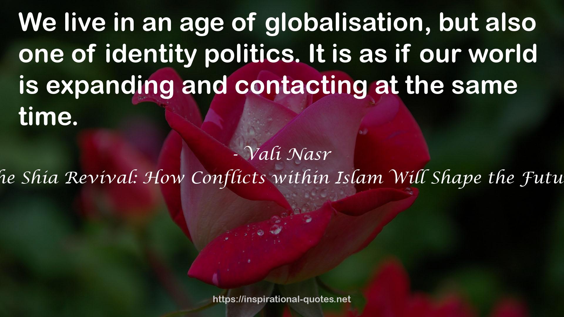 Vali Nasr QUOTES