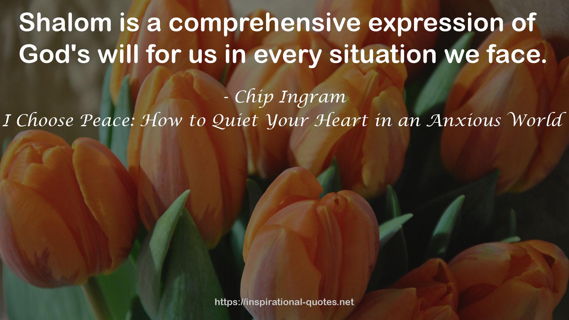 I Choose Peace: How to Quiet Your Heart in an Anxious World QUOTES